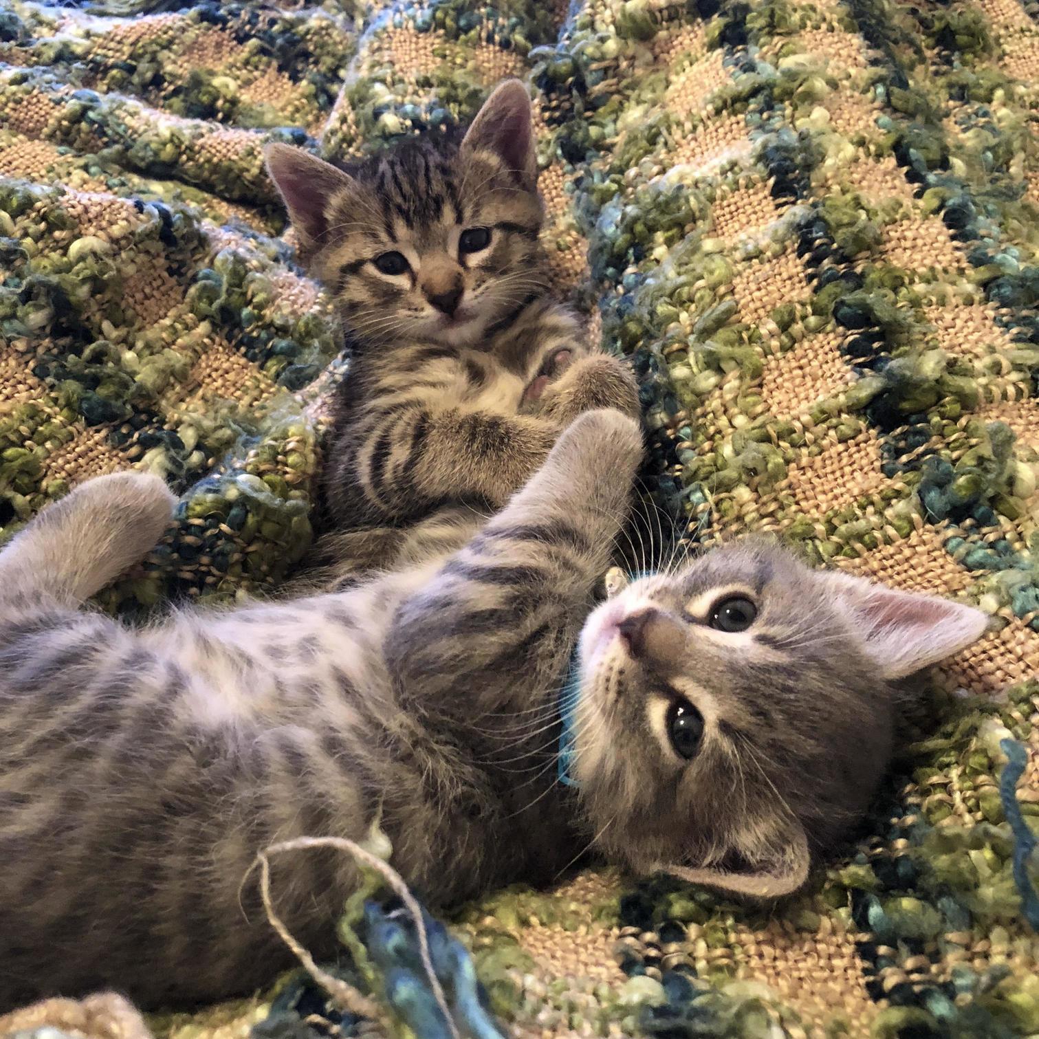 Brothers