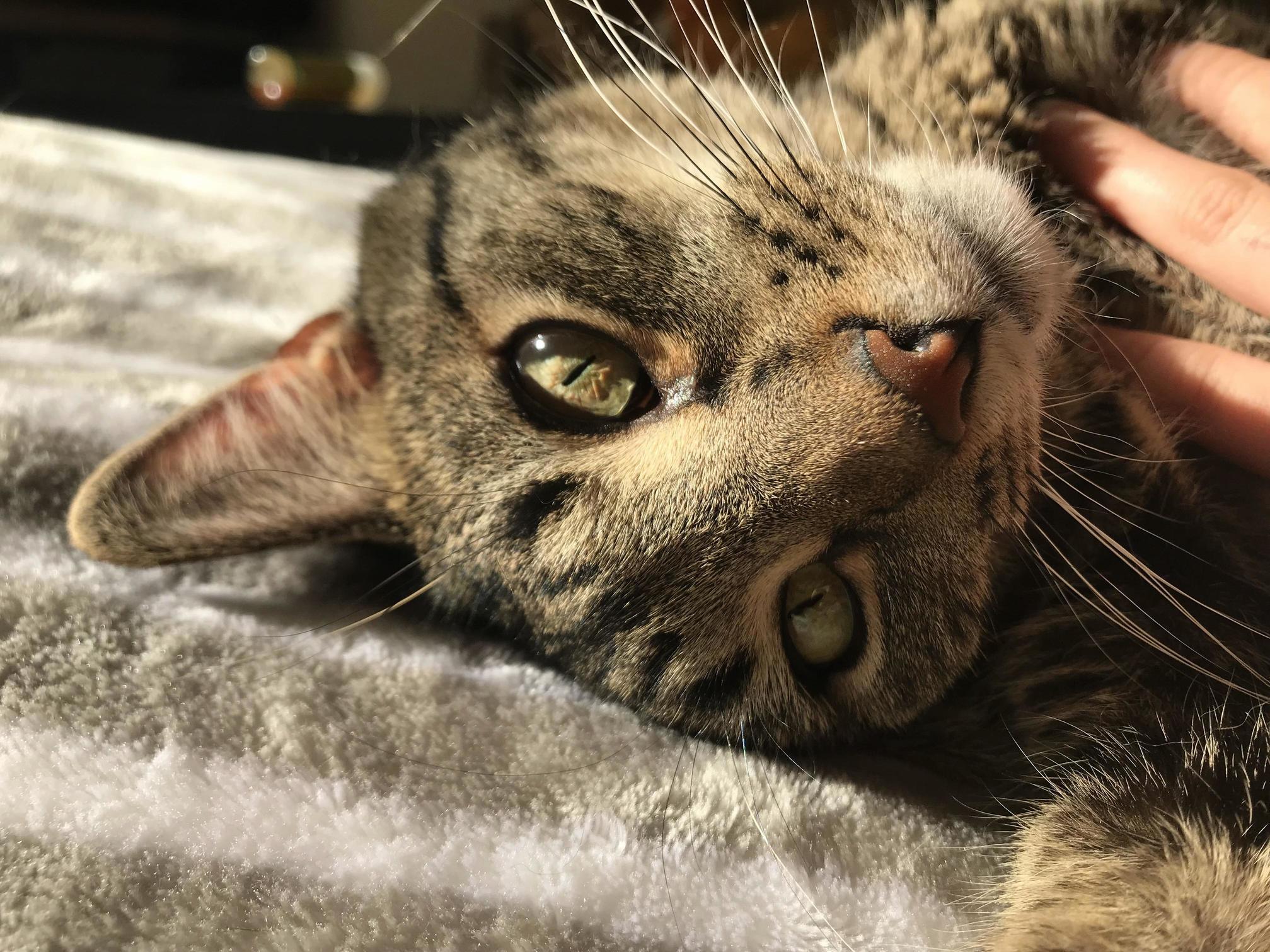 Camus Posing for the Camera.