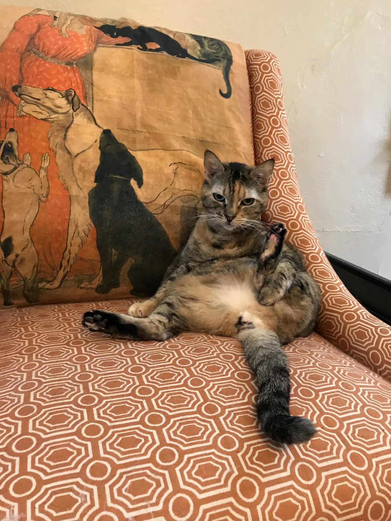 Classy Lady Lounging