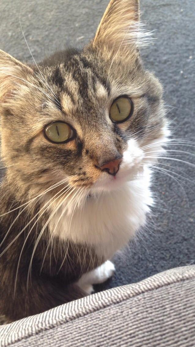 Coming Home in a Few Days from a 3 Month Long Trip and Cant Wait to See This Handsome Boy