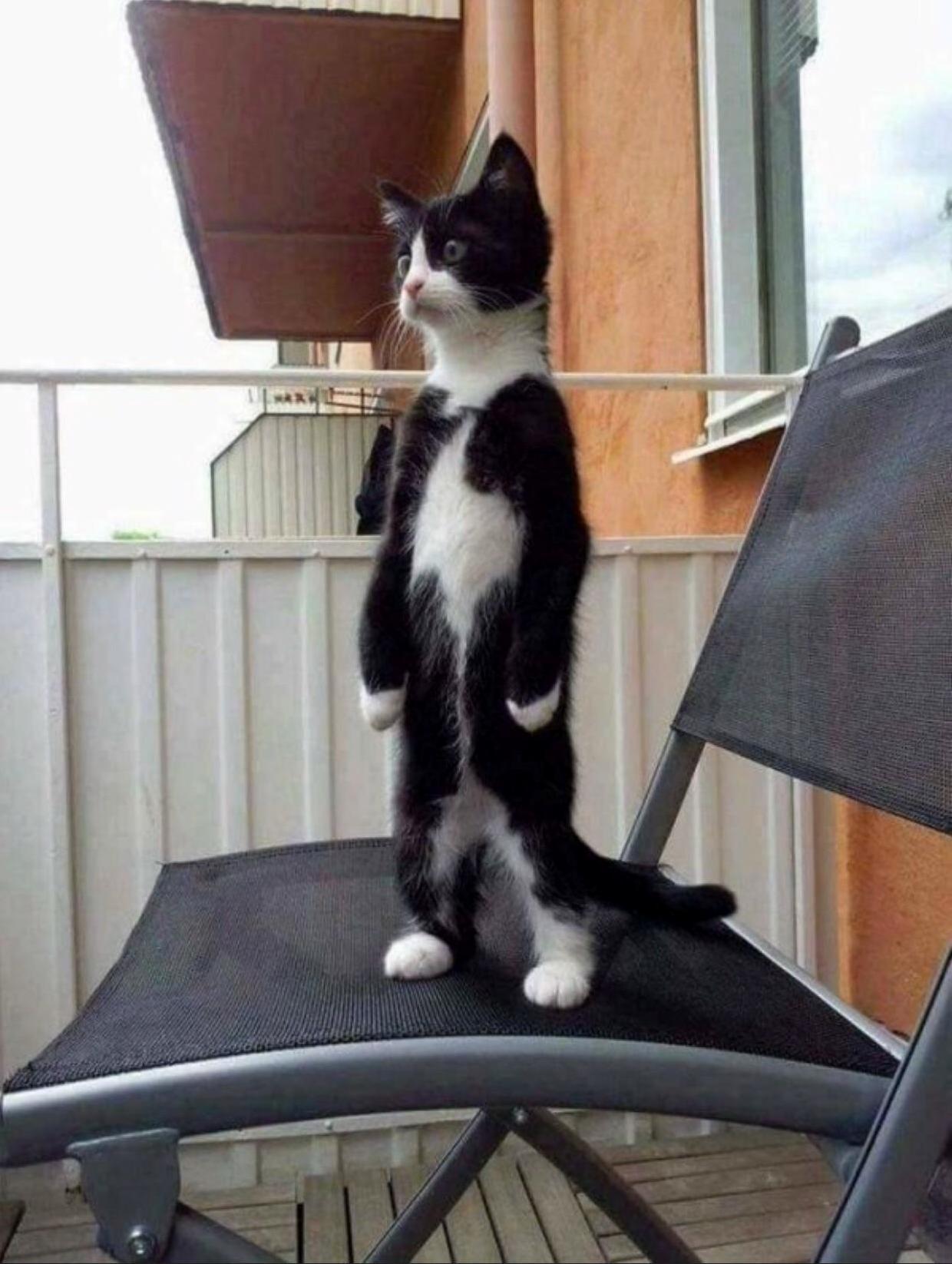 Dude, Are You Seeing This