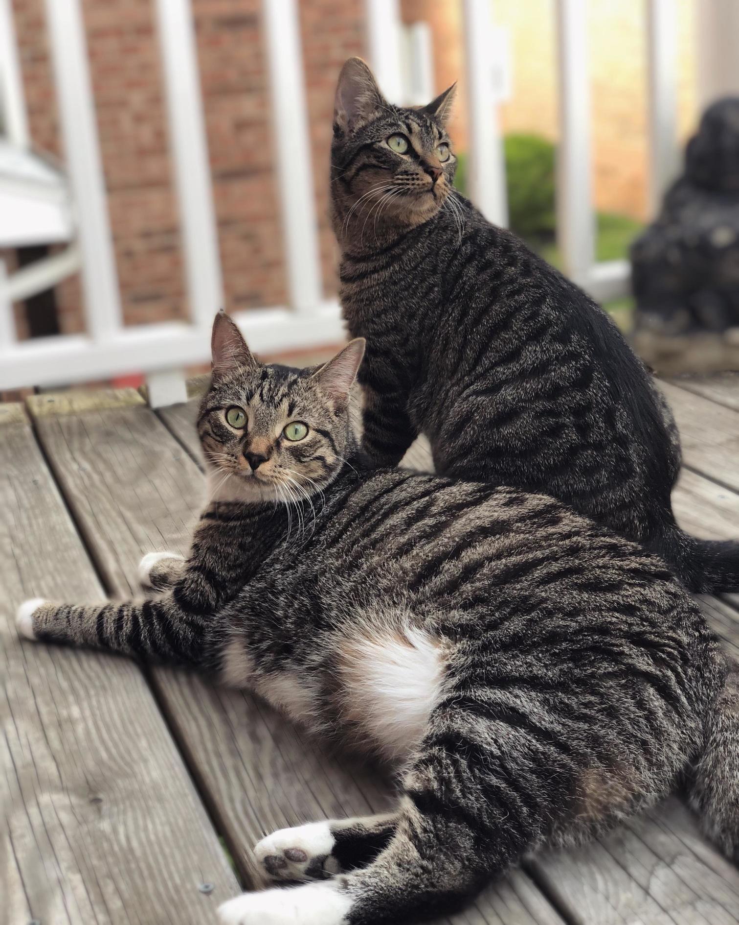 Family Portrait