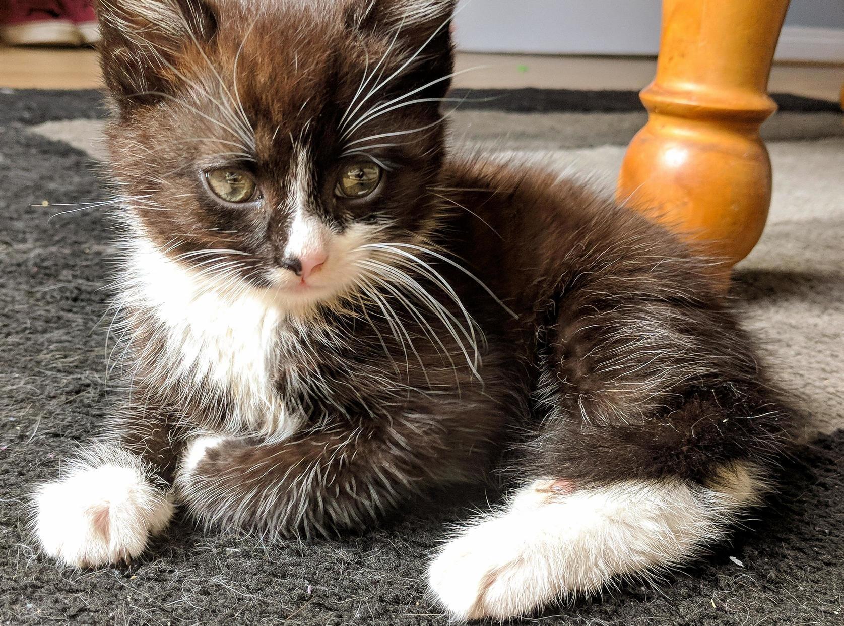 He Doesnt Have a Name Yet...