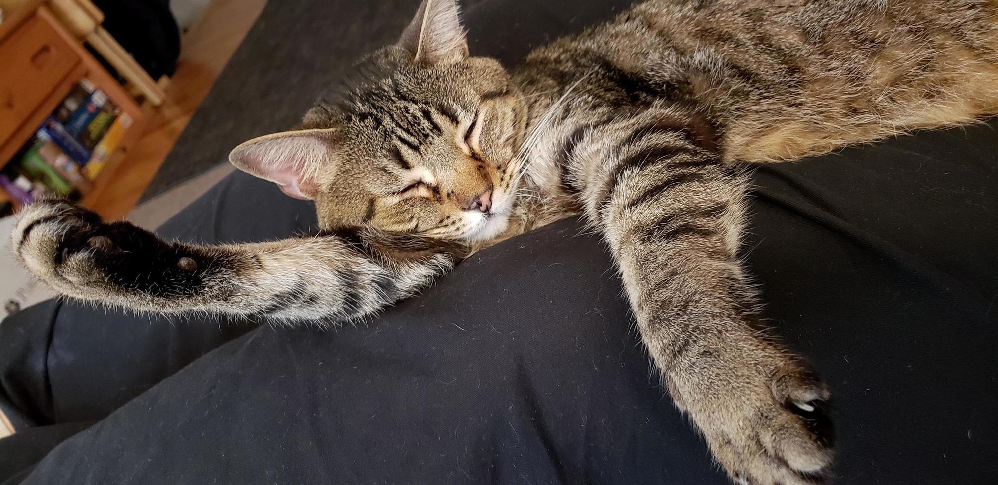 He Really Makes Himself at Home