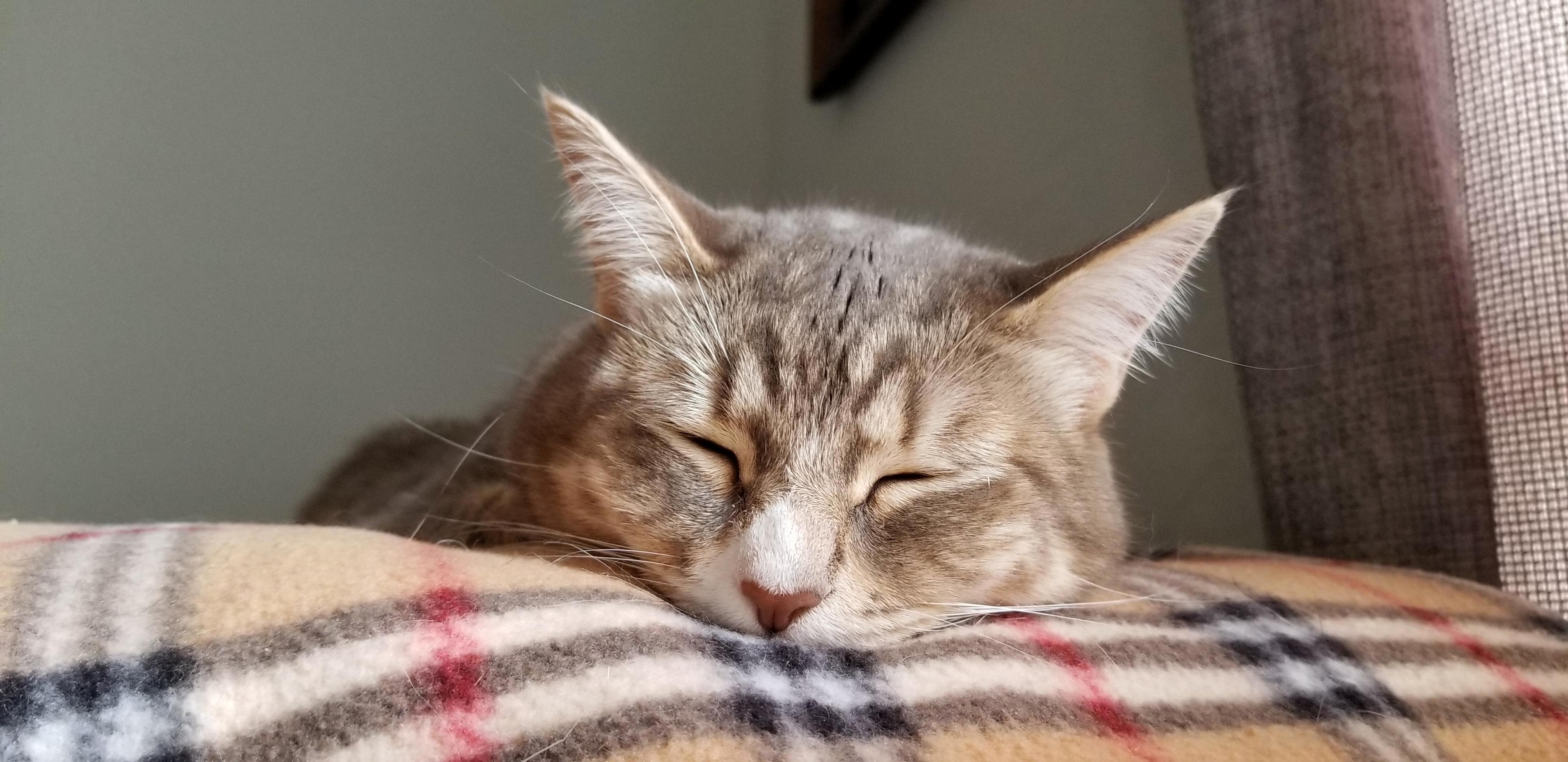 Her Little Contented Sleeping Face Makes My Heart Happy.
