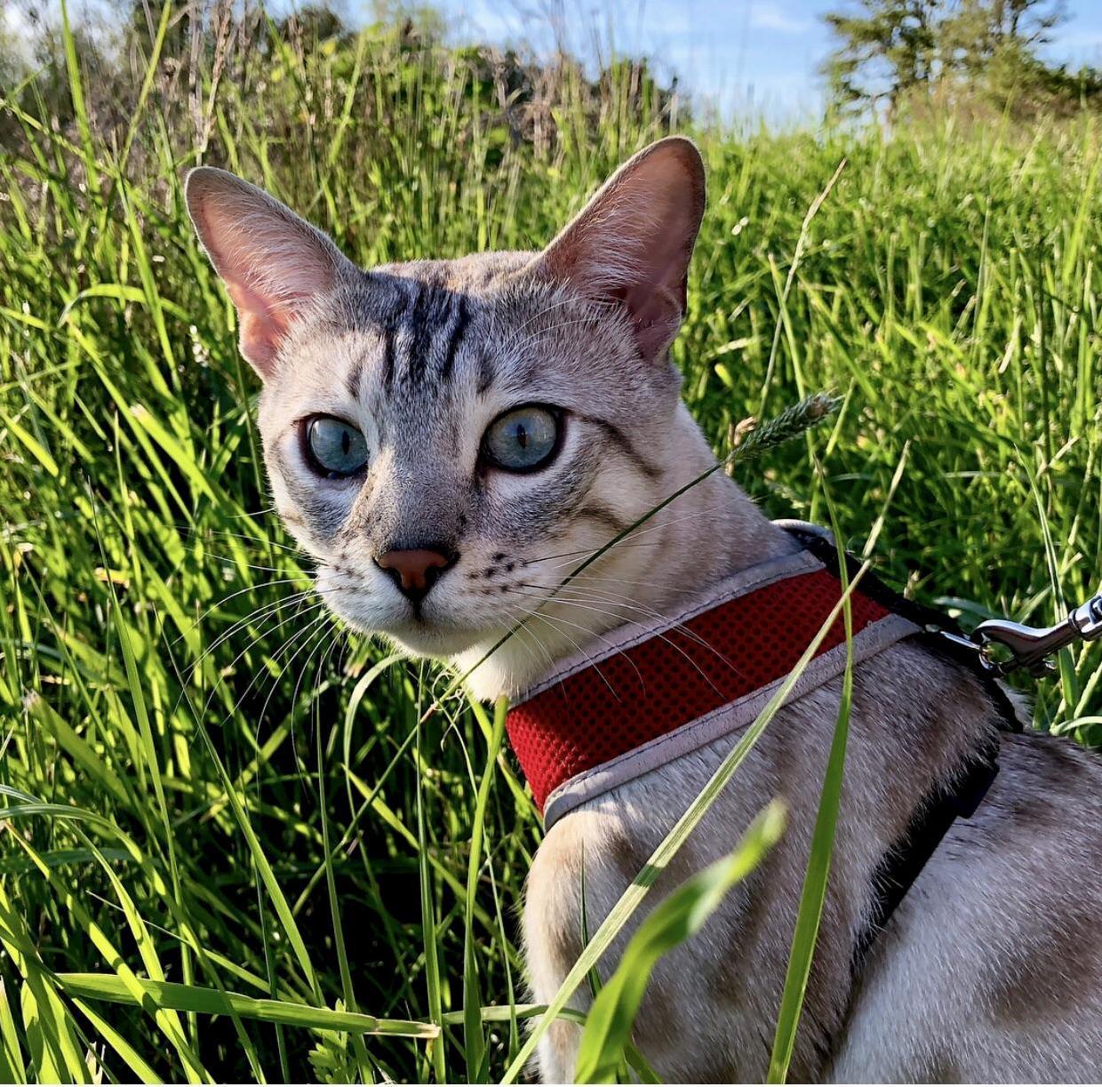 Hikes Are His Favorite!