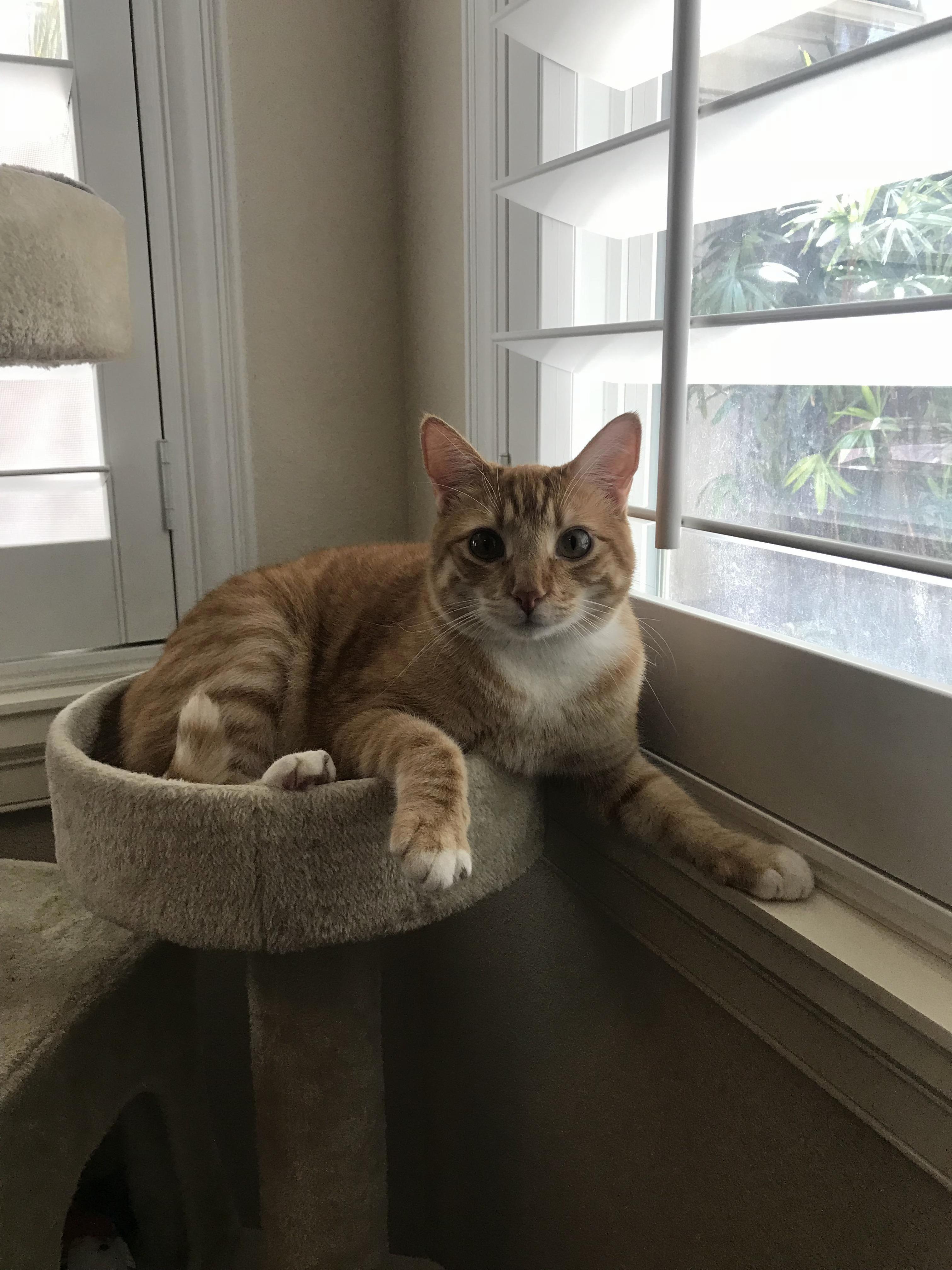 His Favorite Spot.