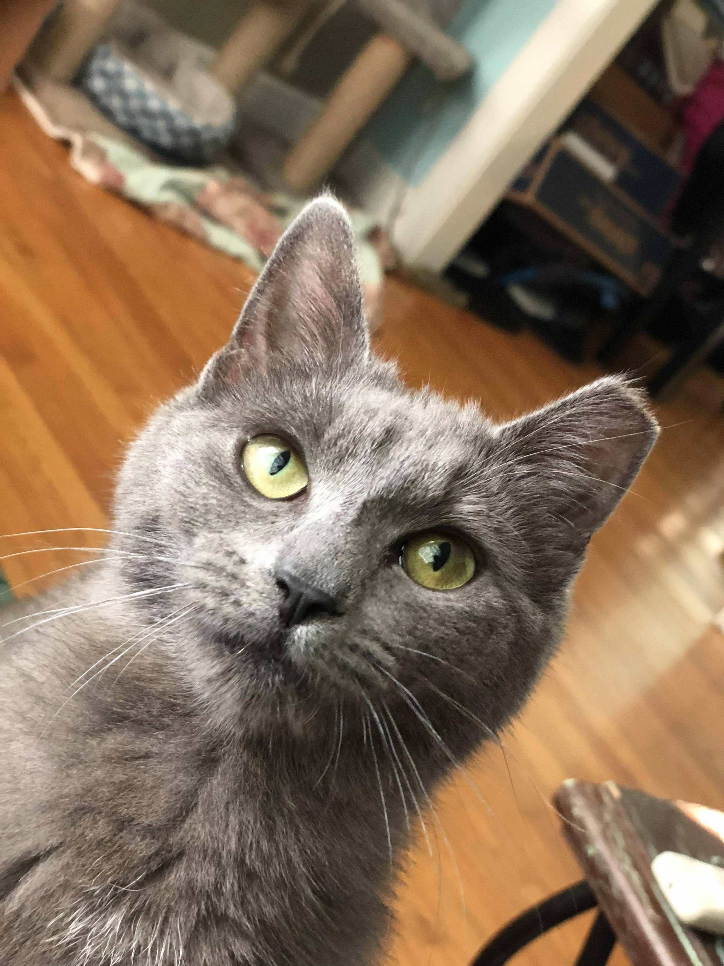 How Starski Stares at Bottle Caps