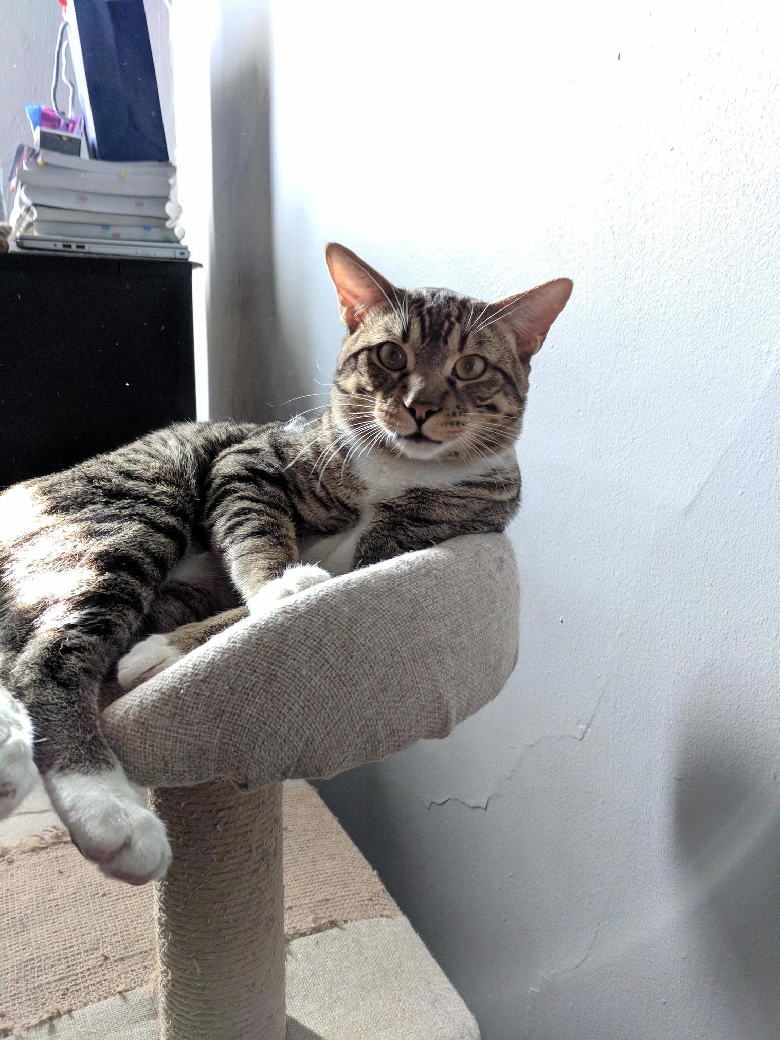 Human, Stop.