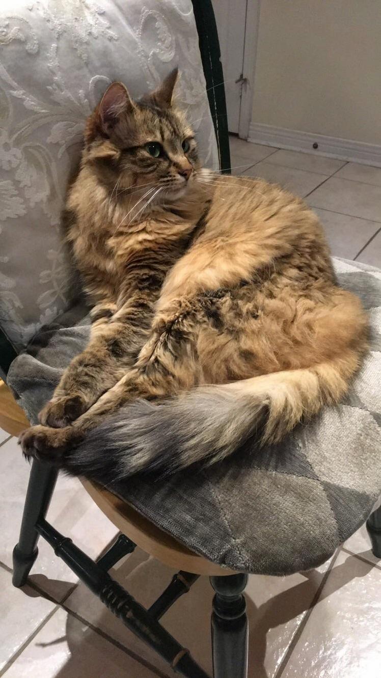 I Left My Seat for a Minute and This Is What I Came Back to