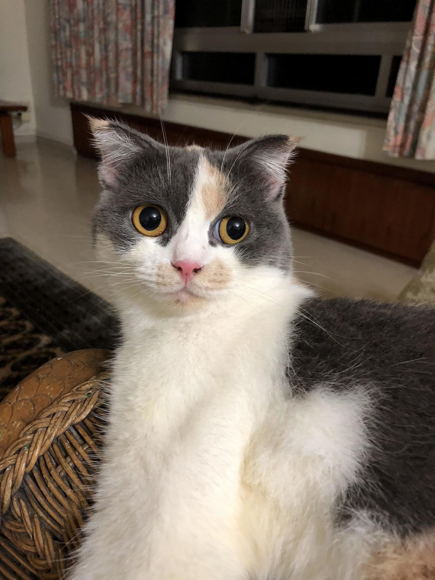 I Love Her Pink Nose!
