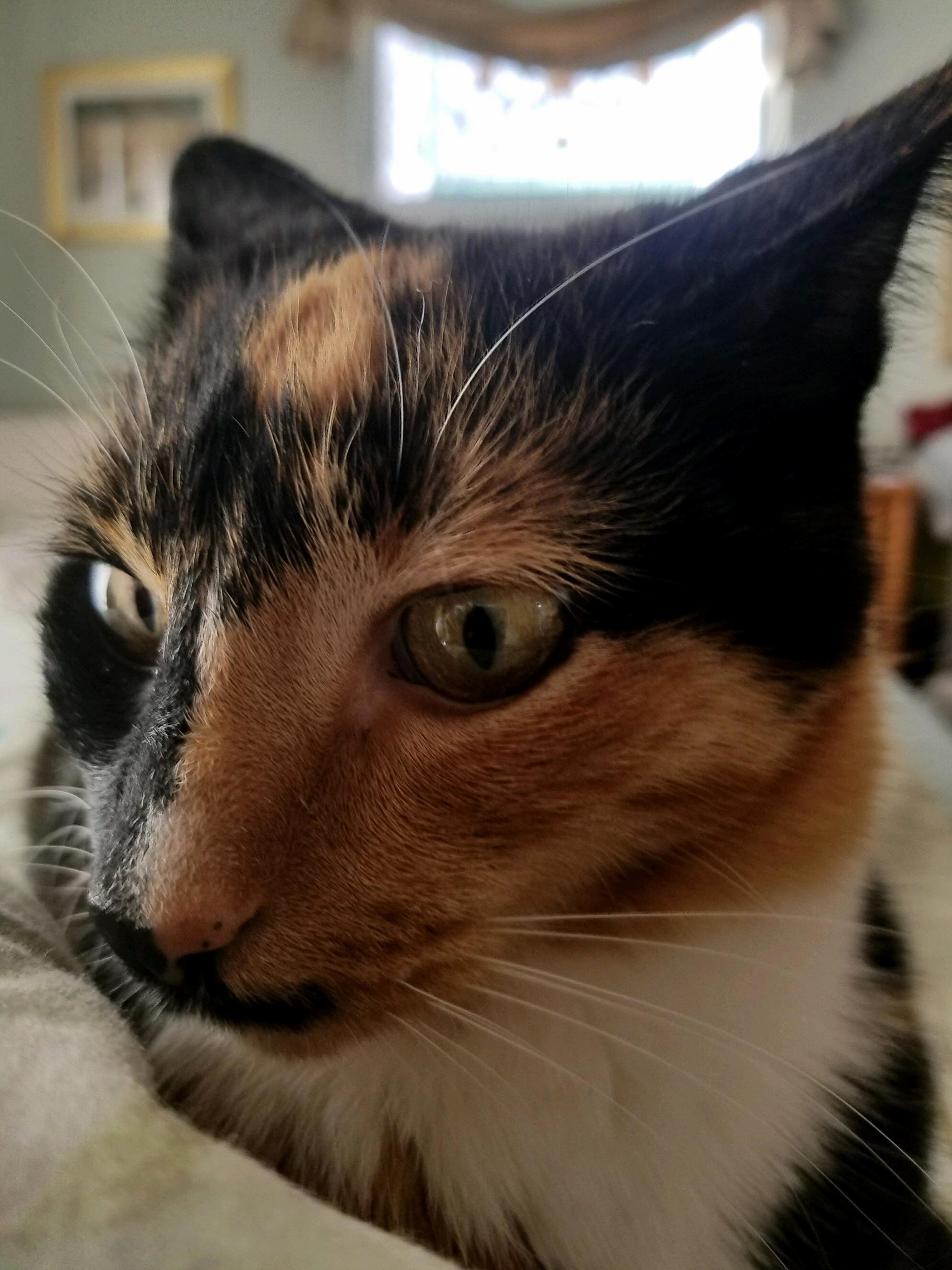 I See the Fires of Hell in Her Eyes.