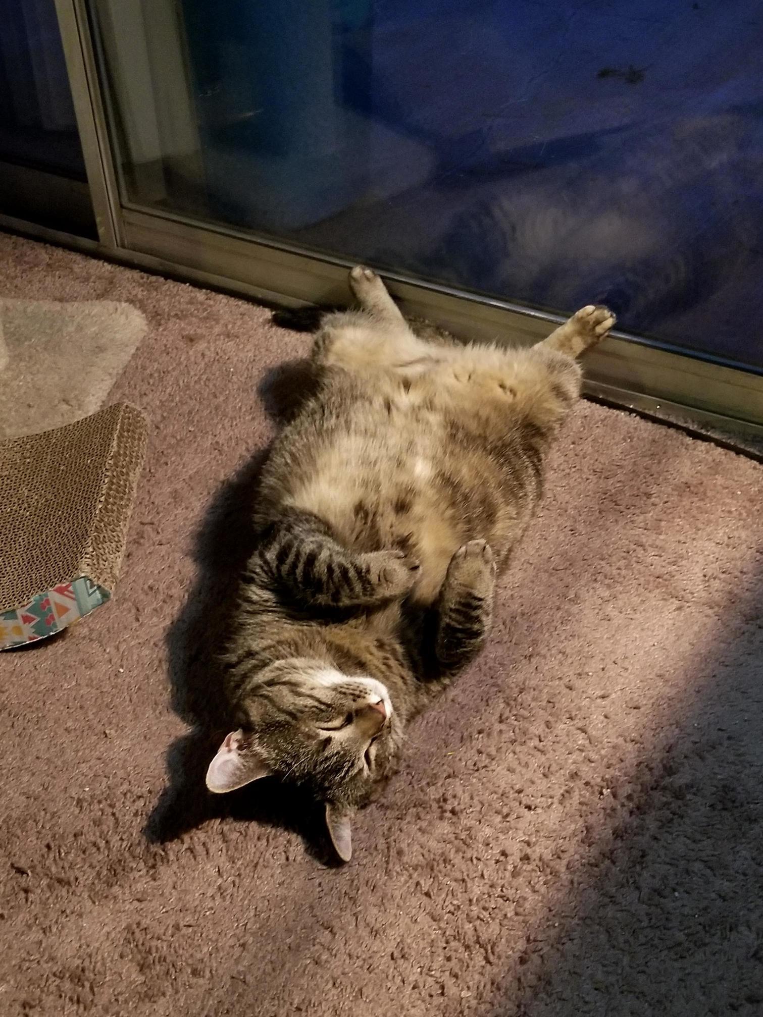 I Think Shes Pretty Comfortable with Us