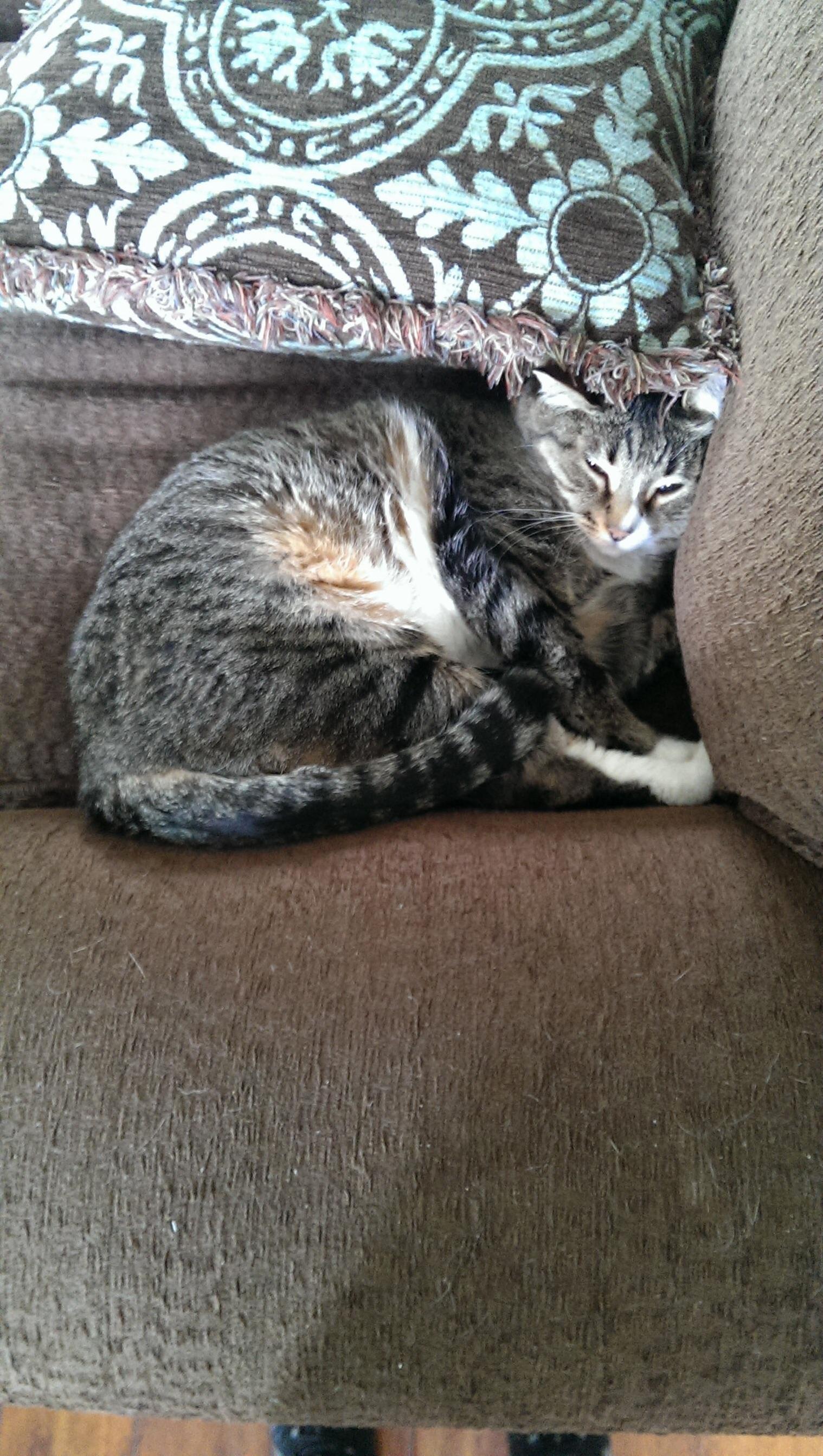 I Will Always Love You Minxy. May 6, 2018