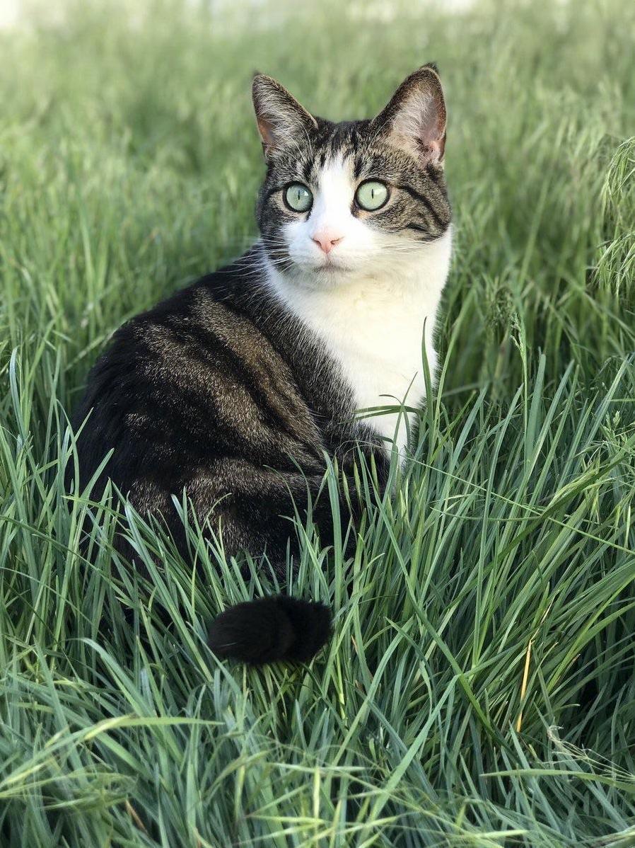 In Awe That We Finally Let Her Outside for a Few Minutes!