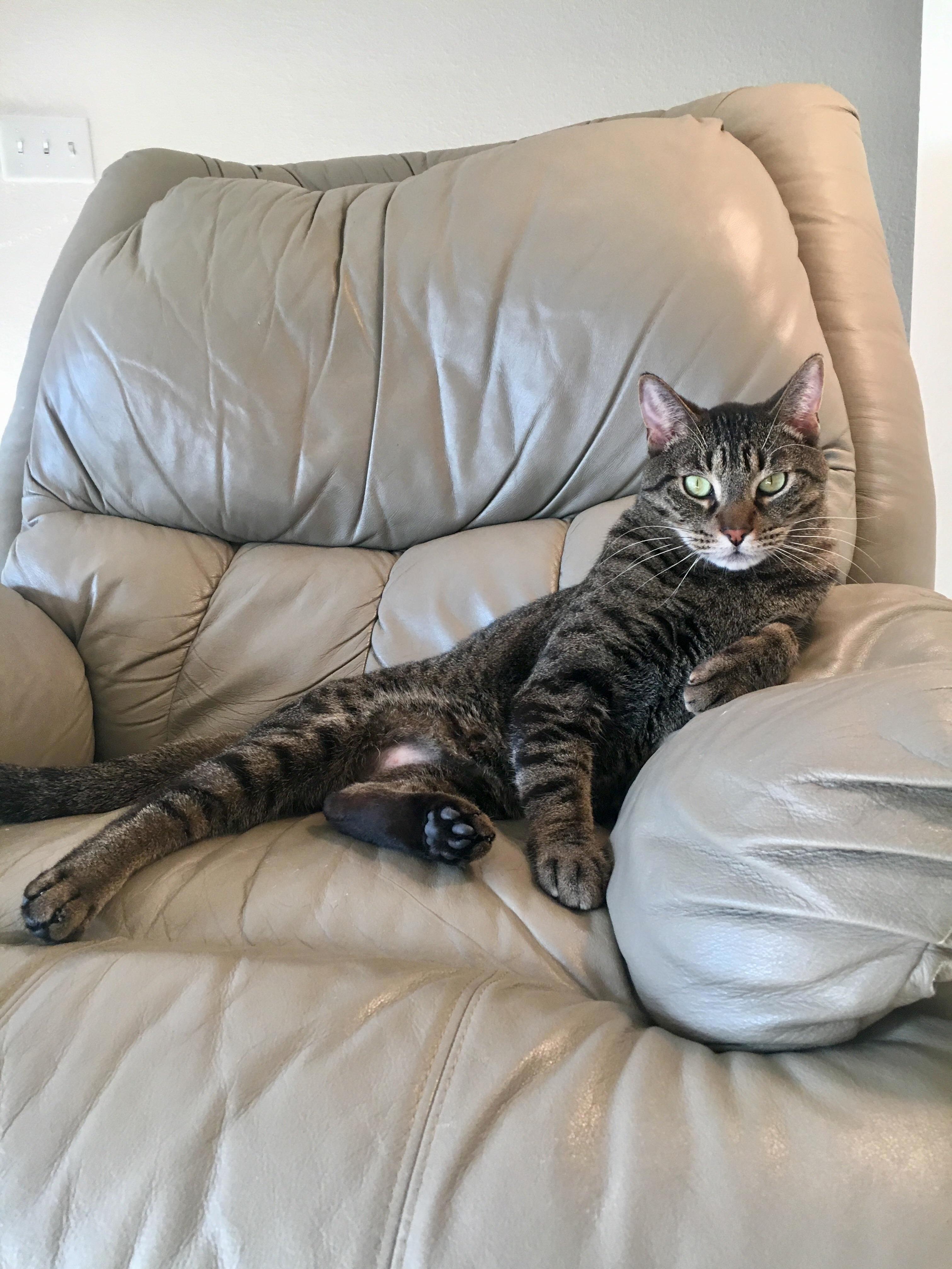King Gerald Sitting on His Throne
