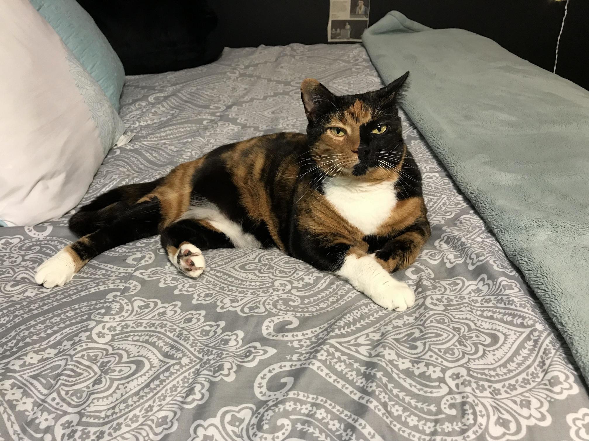 Luci Spending Some Time with Me This Wednesday Morning