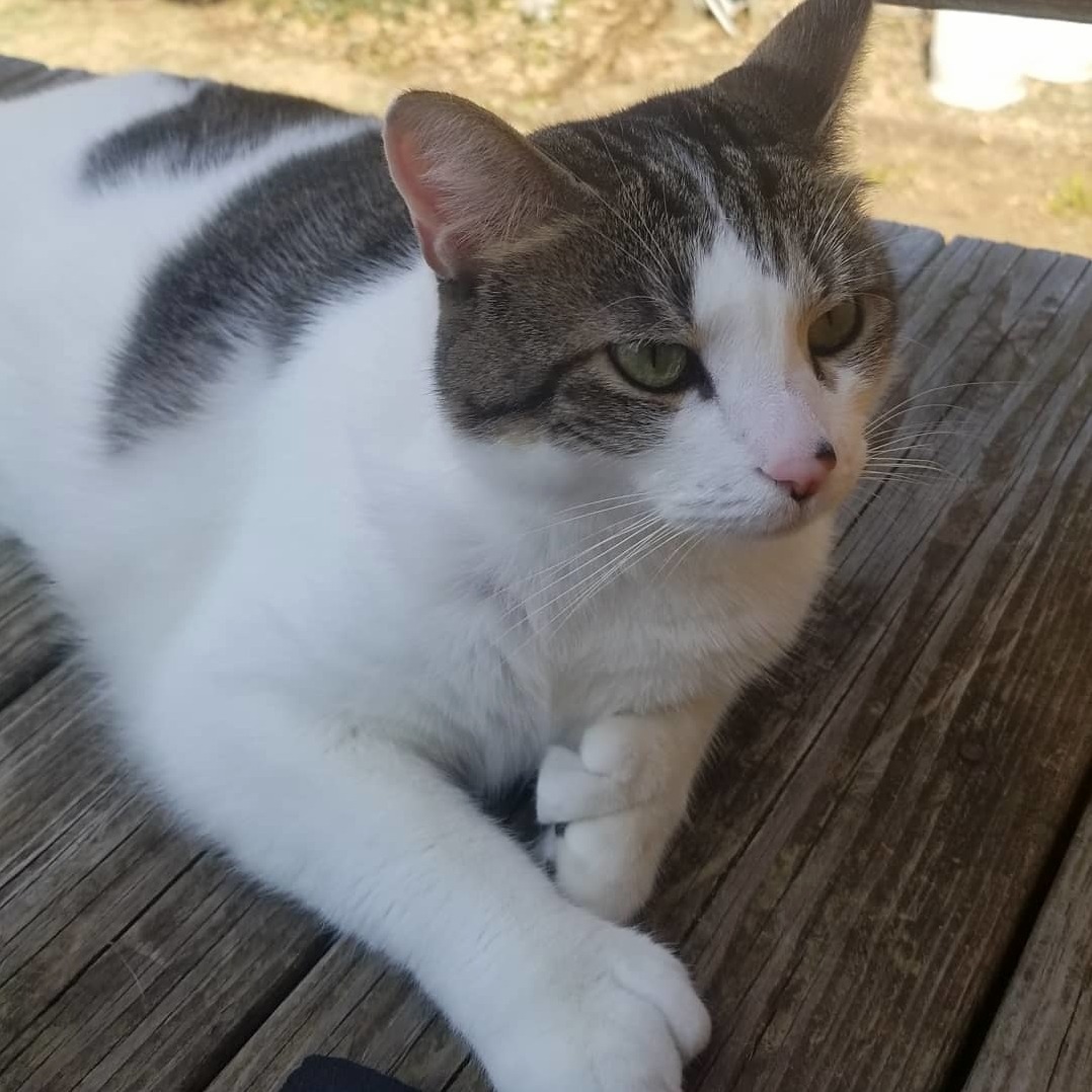 Luna Being Pretty