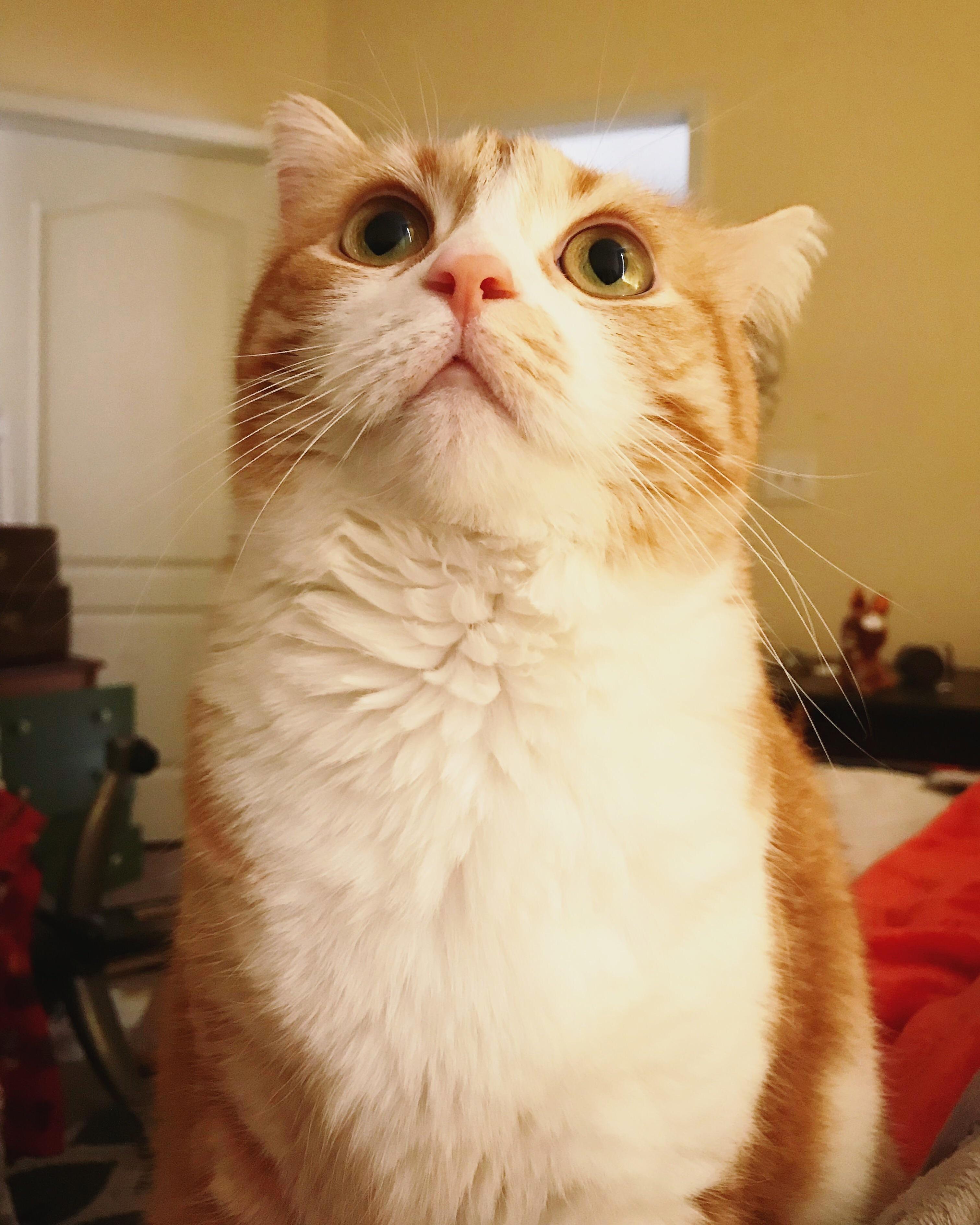 Mesmerized by Absolutely Nothing