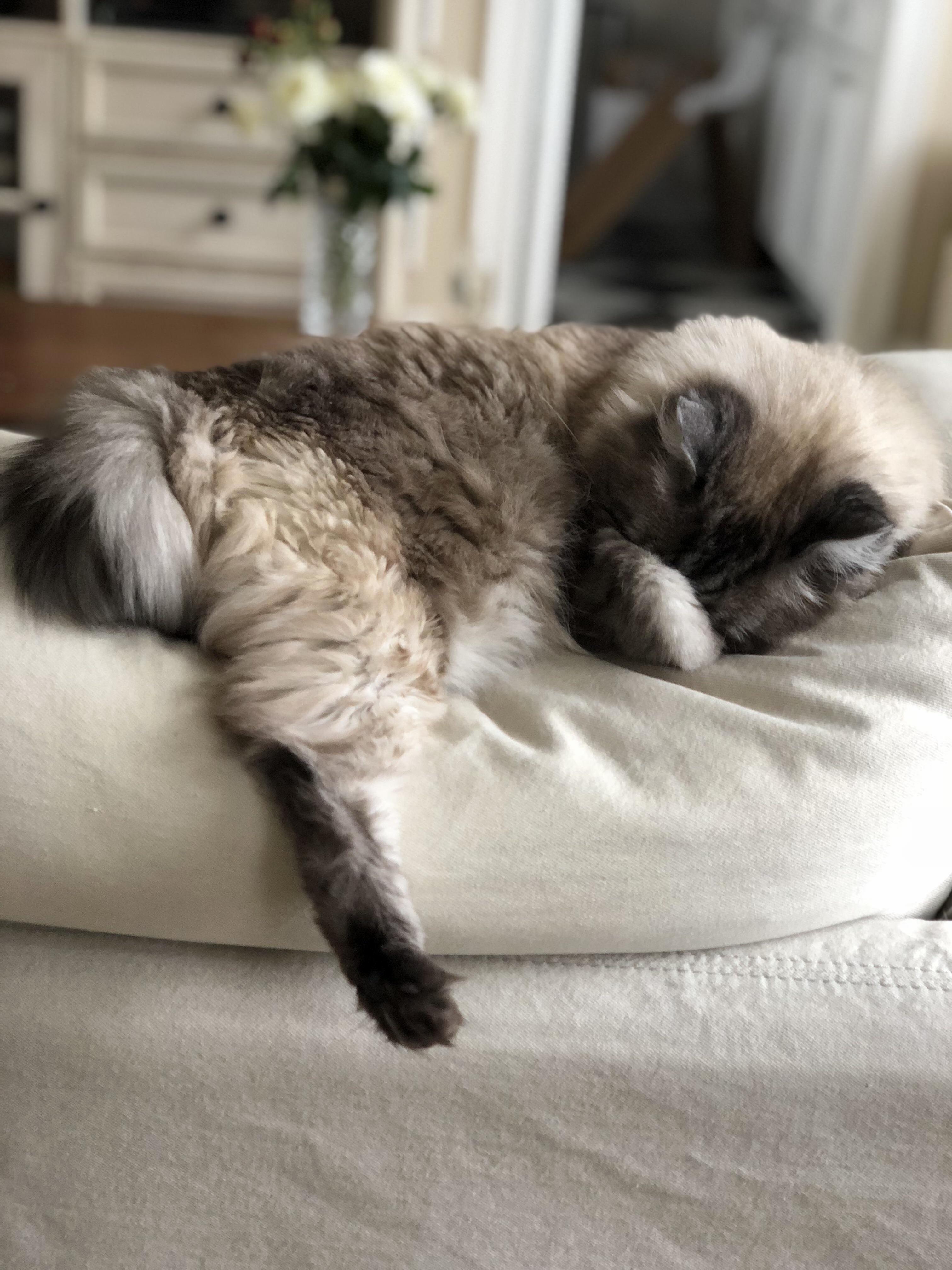 Mood Right Now Please Dont Bother Me.