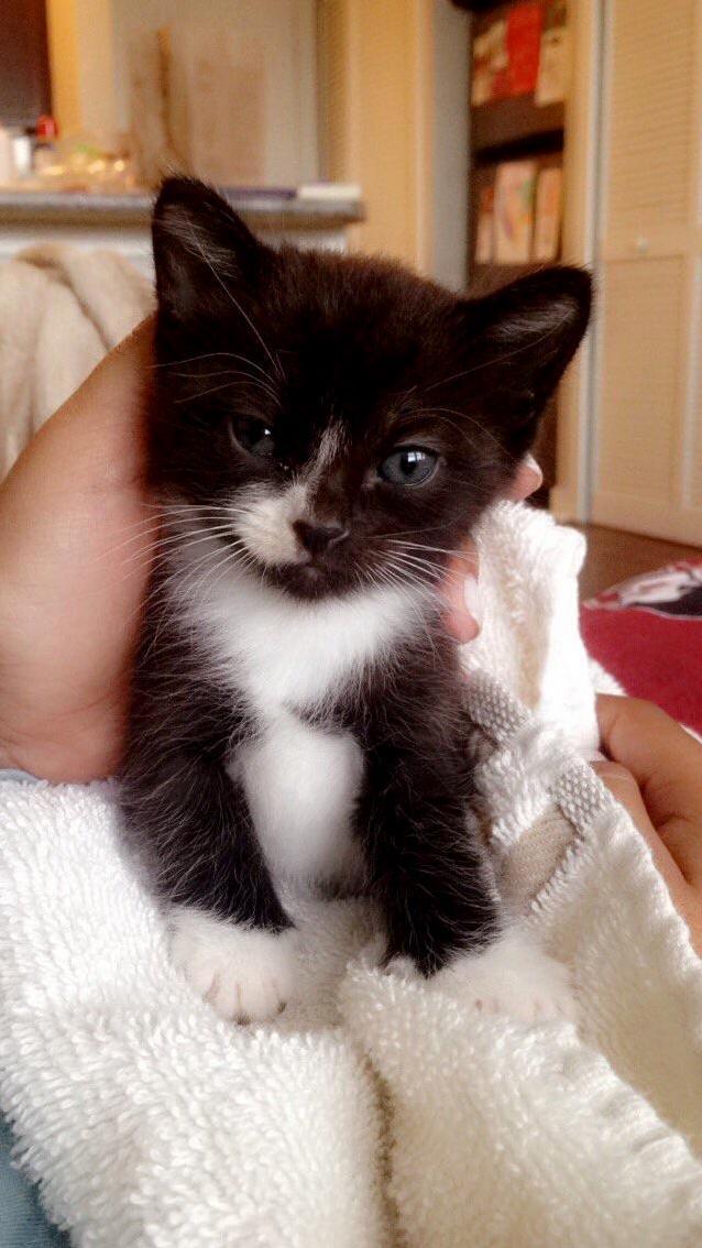My Baby Boy When He Was Only 2 Weeks Old! Hes Turning 2 Years Old Next Week!