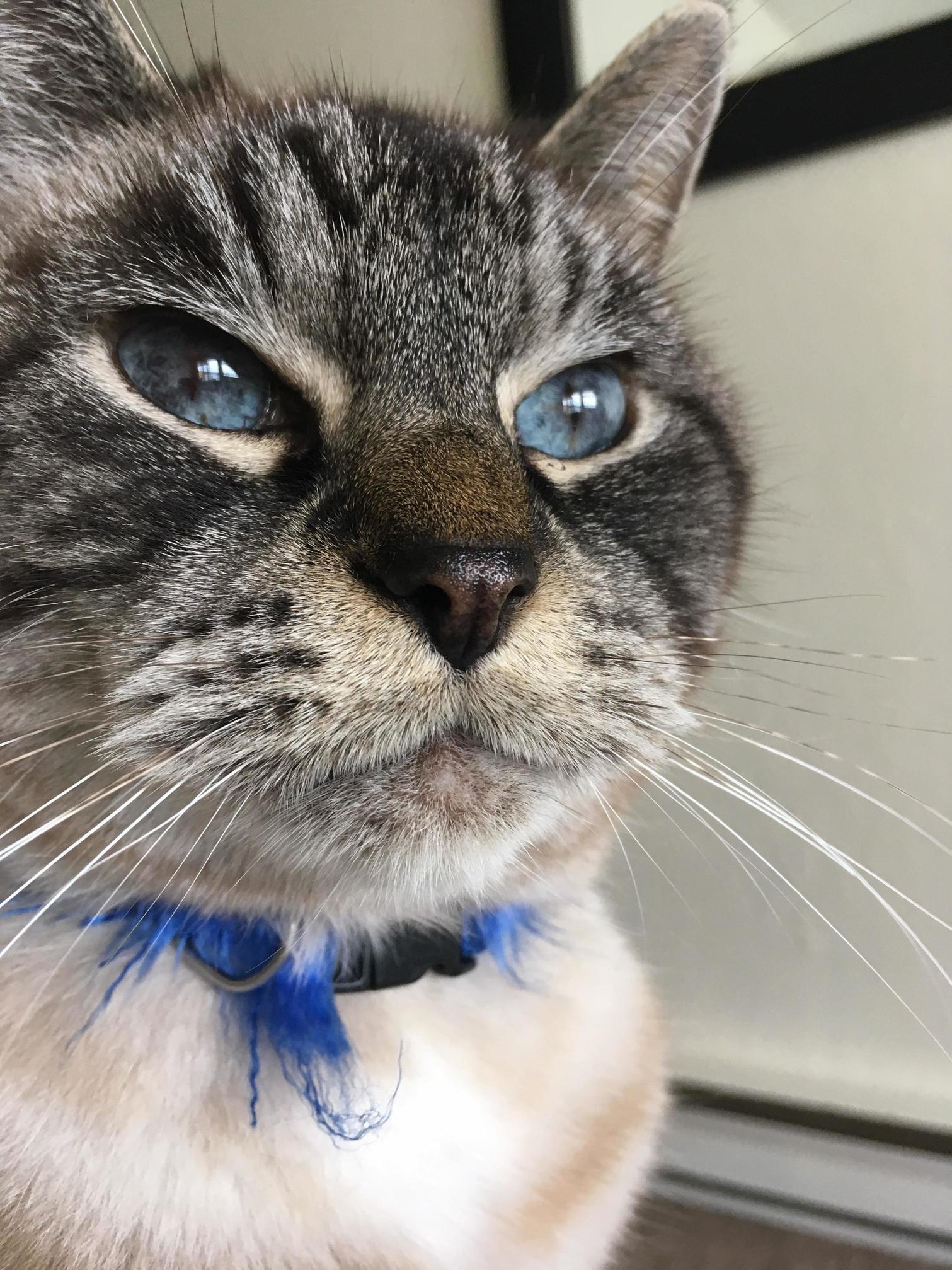 My Blue-eyed Girl