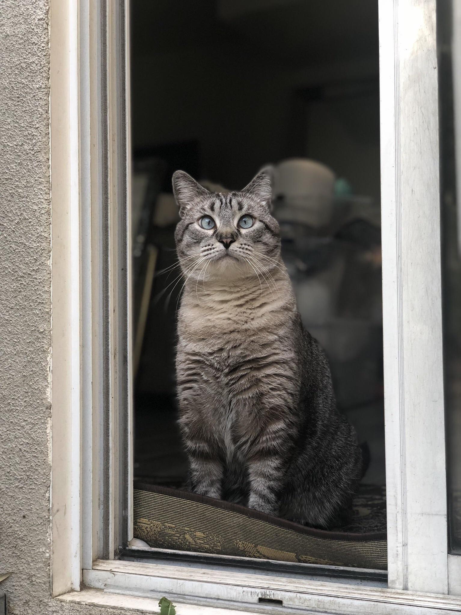 My Boy, Oliver. Also Goes by Bird.