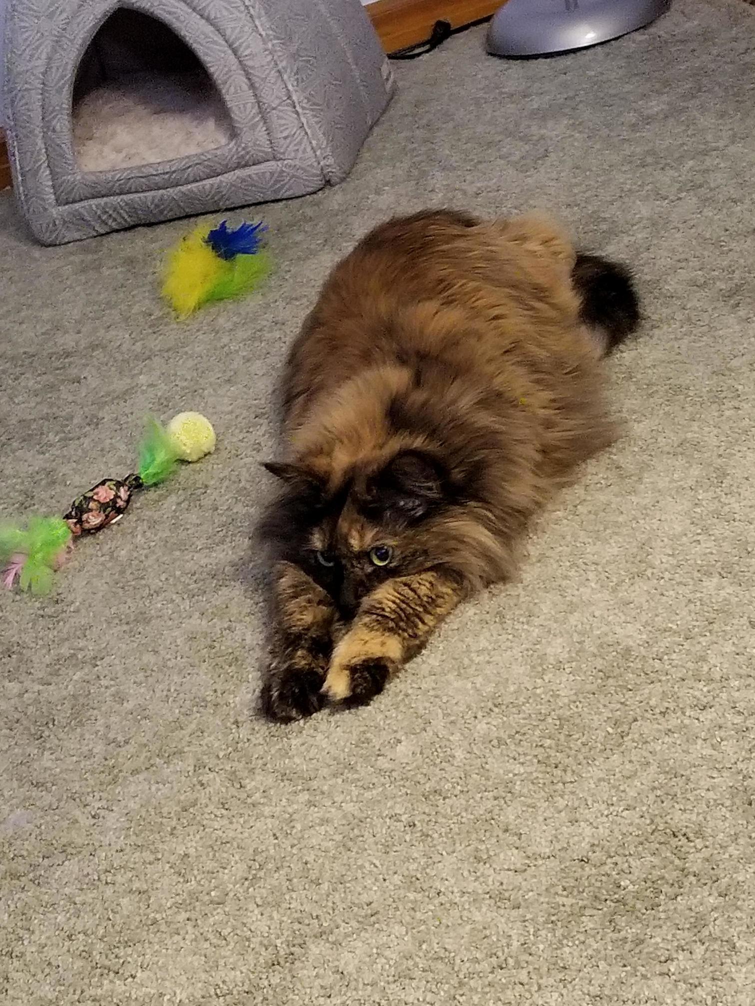My Cute Little Baby.