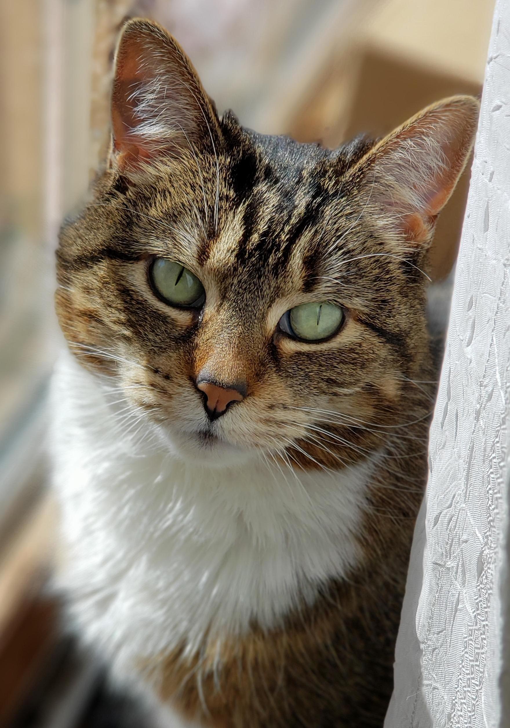 My Ellabelle Is 10 Now