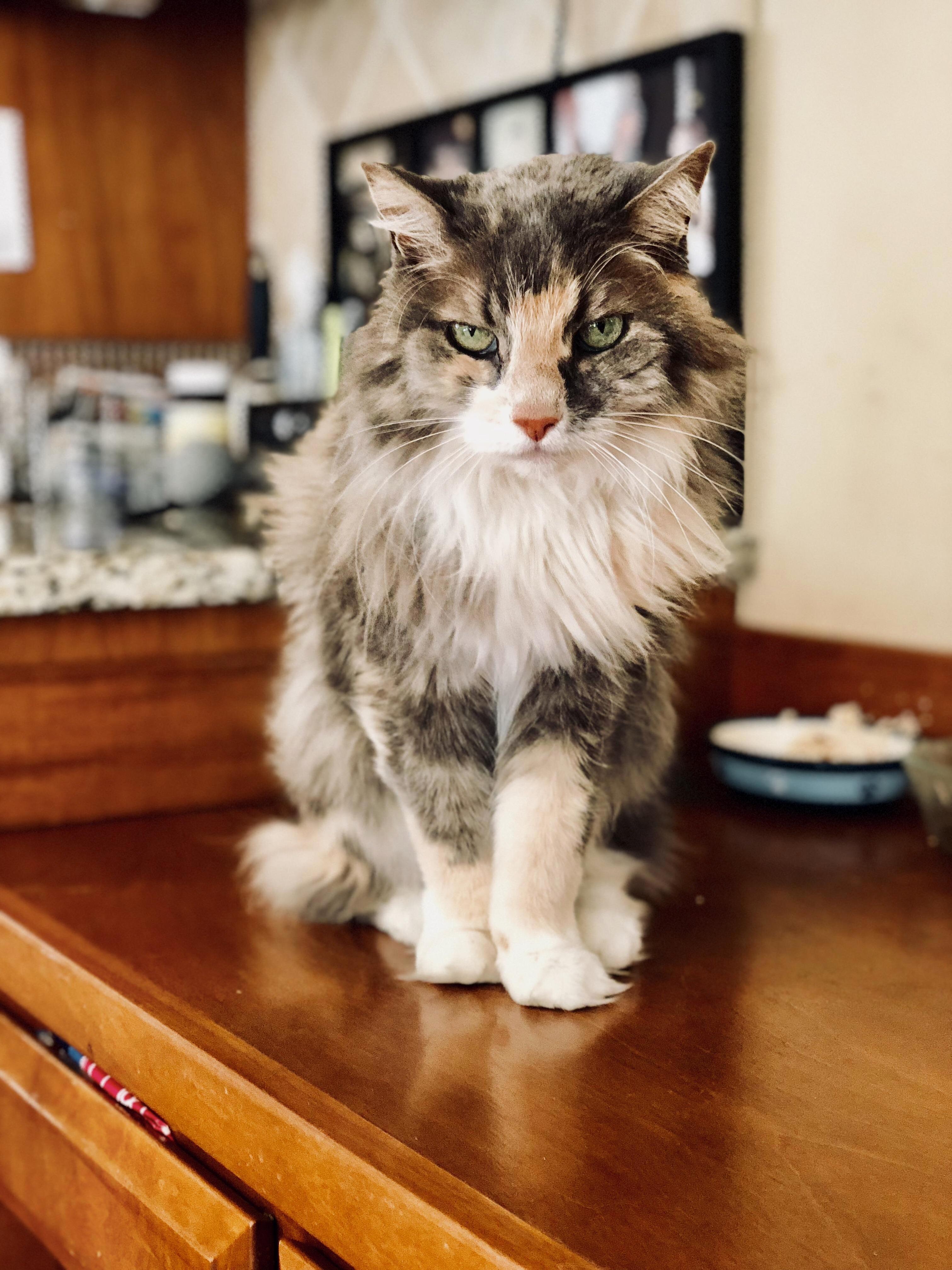 My Friends 20 Year Old Girl, Beautiful As Ever.