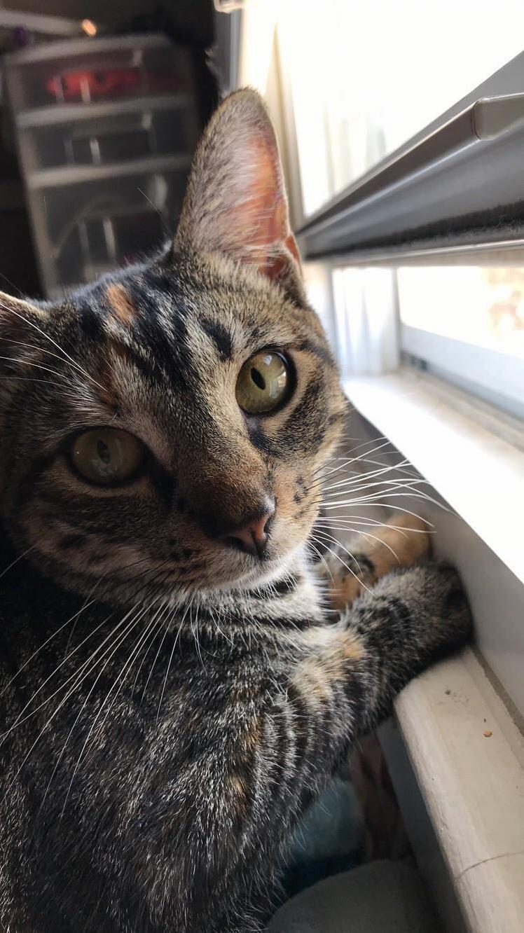My Grand Baby Eyes Are So Hypnotic. My Favorite Little Window Watcher.