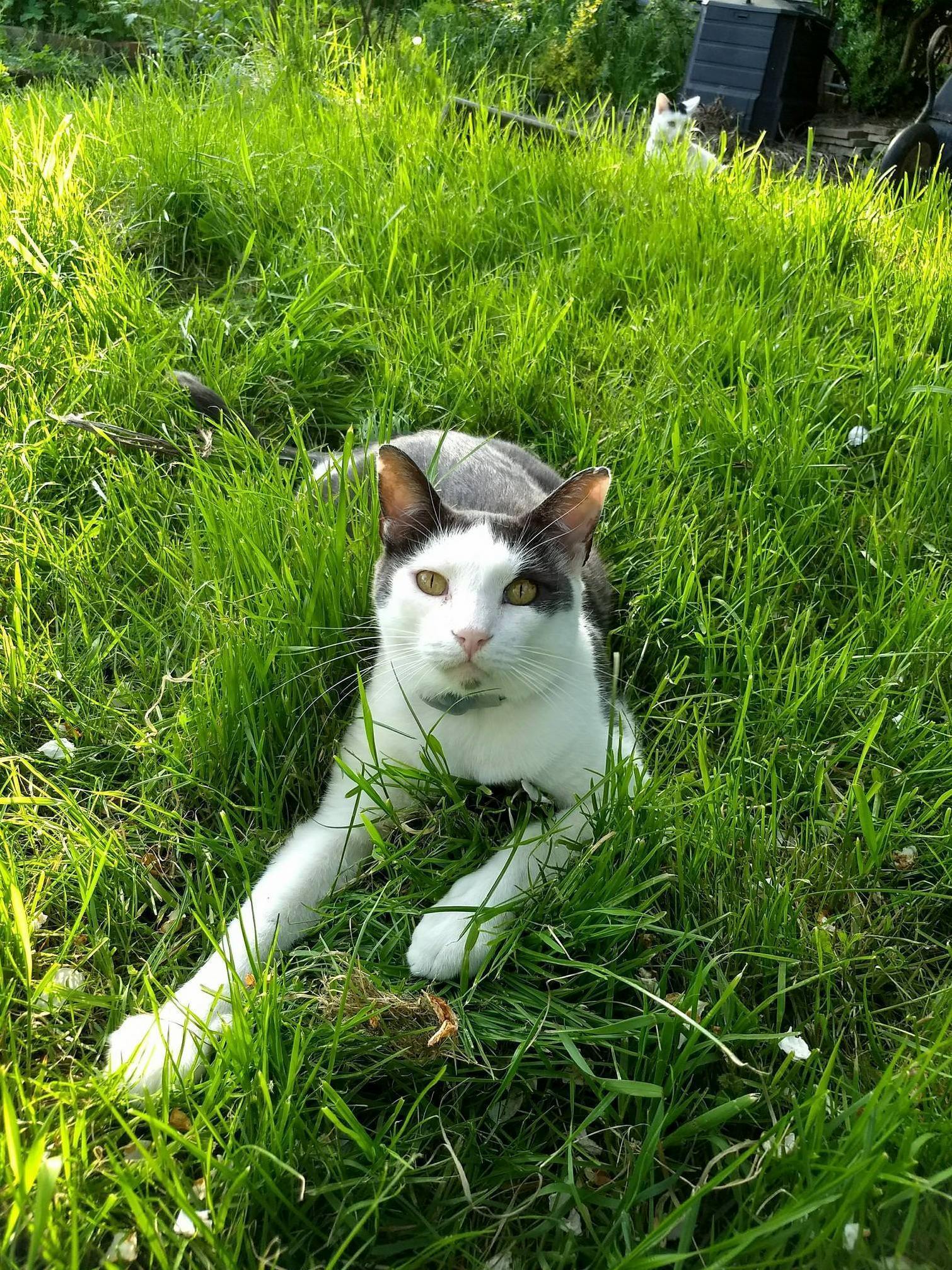 My Handsome Little Boy