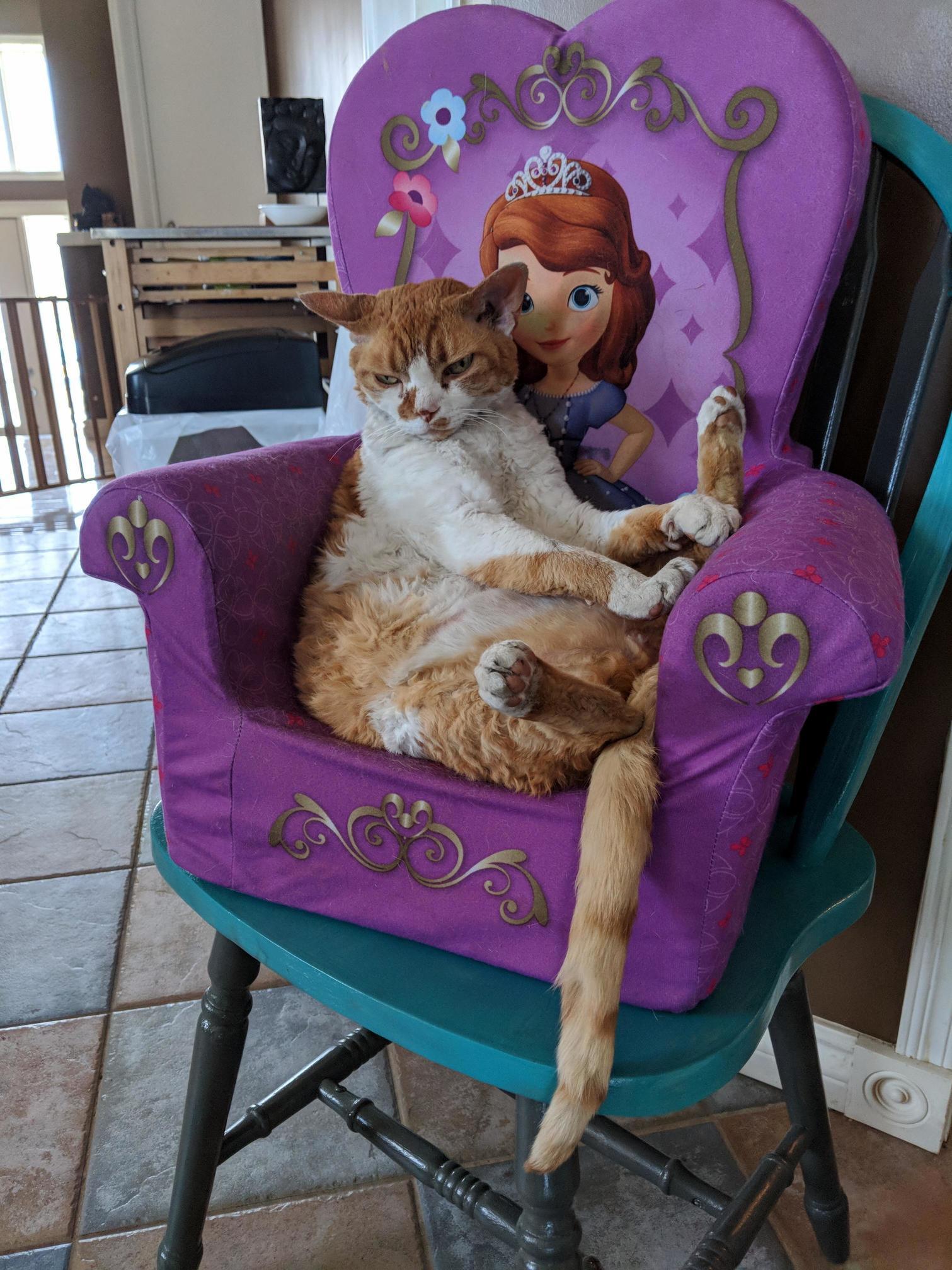 My Kids Are 9 and 13. We Still Cant Get Rid of This Chair.