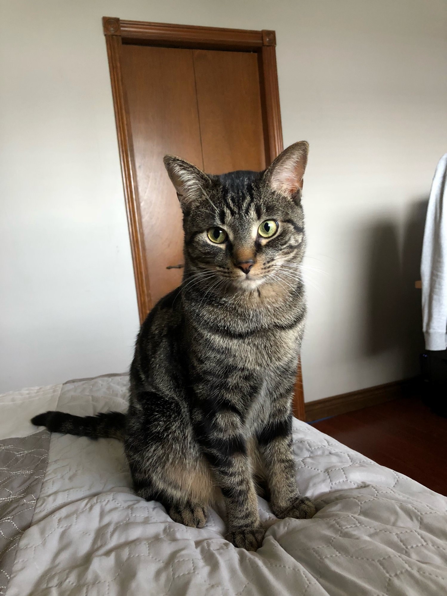 Oliver Doing Good!