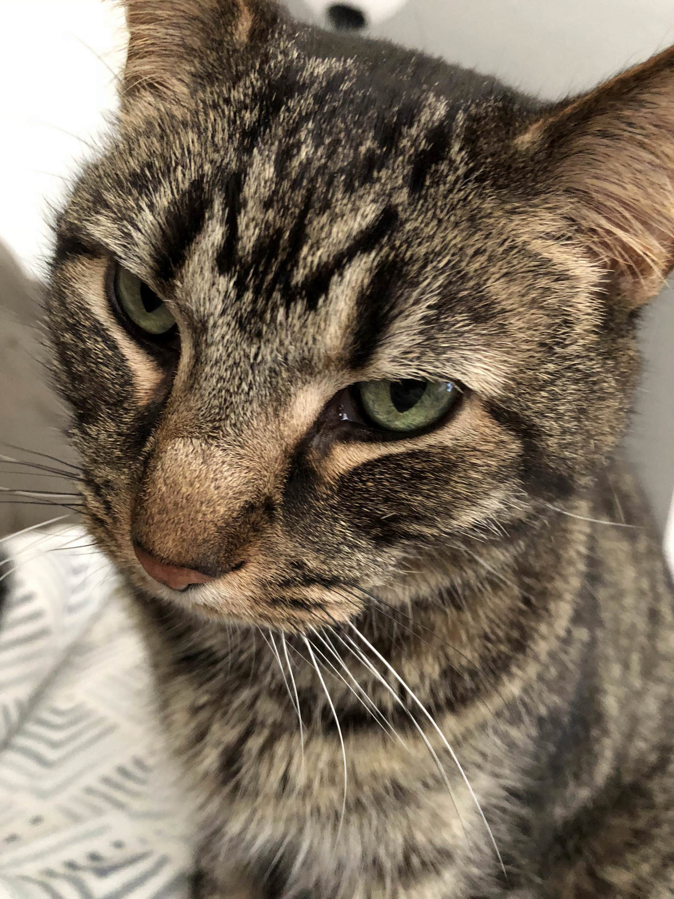 On Month 3 with My Shy Old Man, Sascha