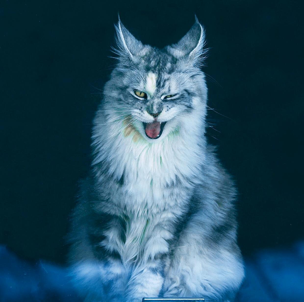 One of Her Many Expressions