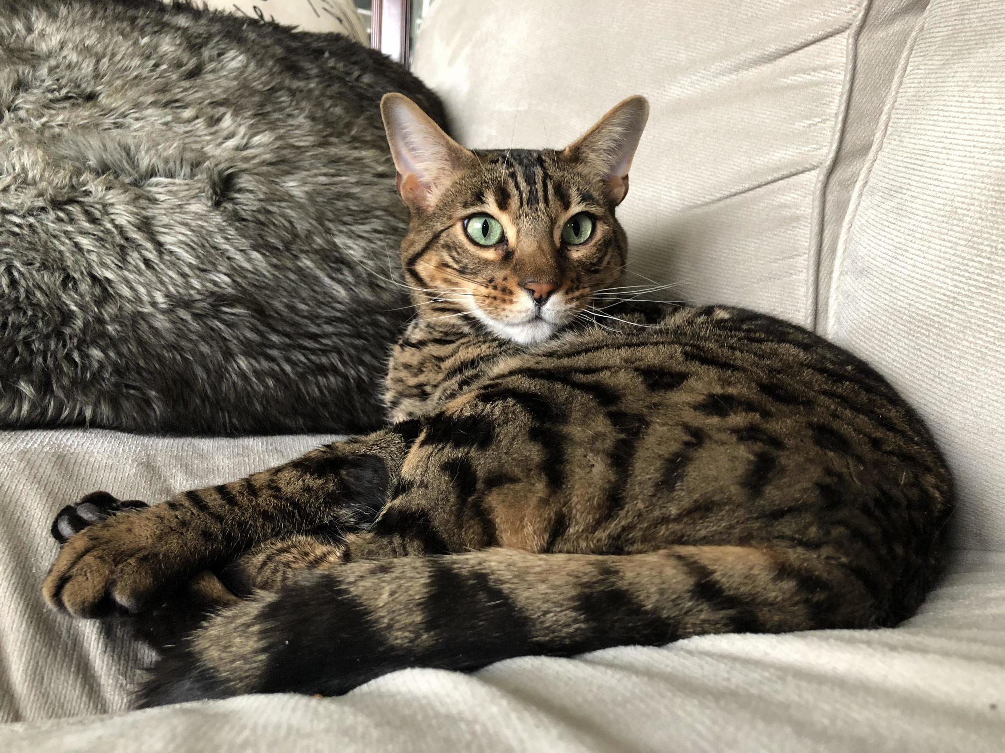 Our Beautiful Boy, Winston.