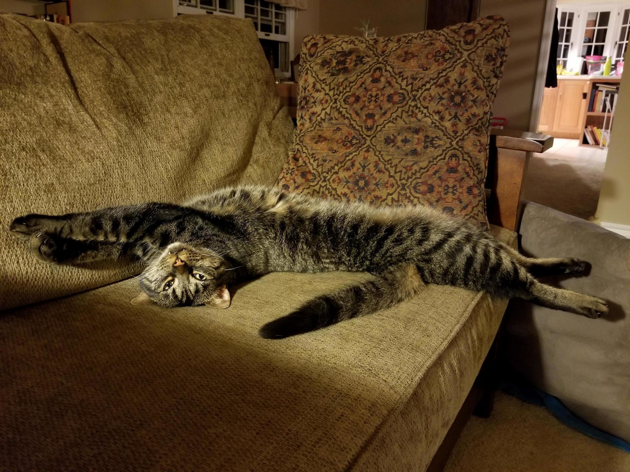 Pay the Toll, Human...