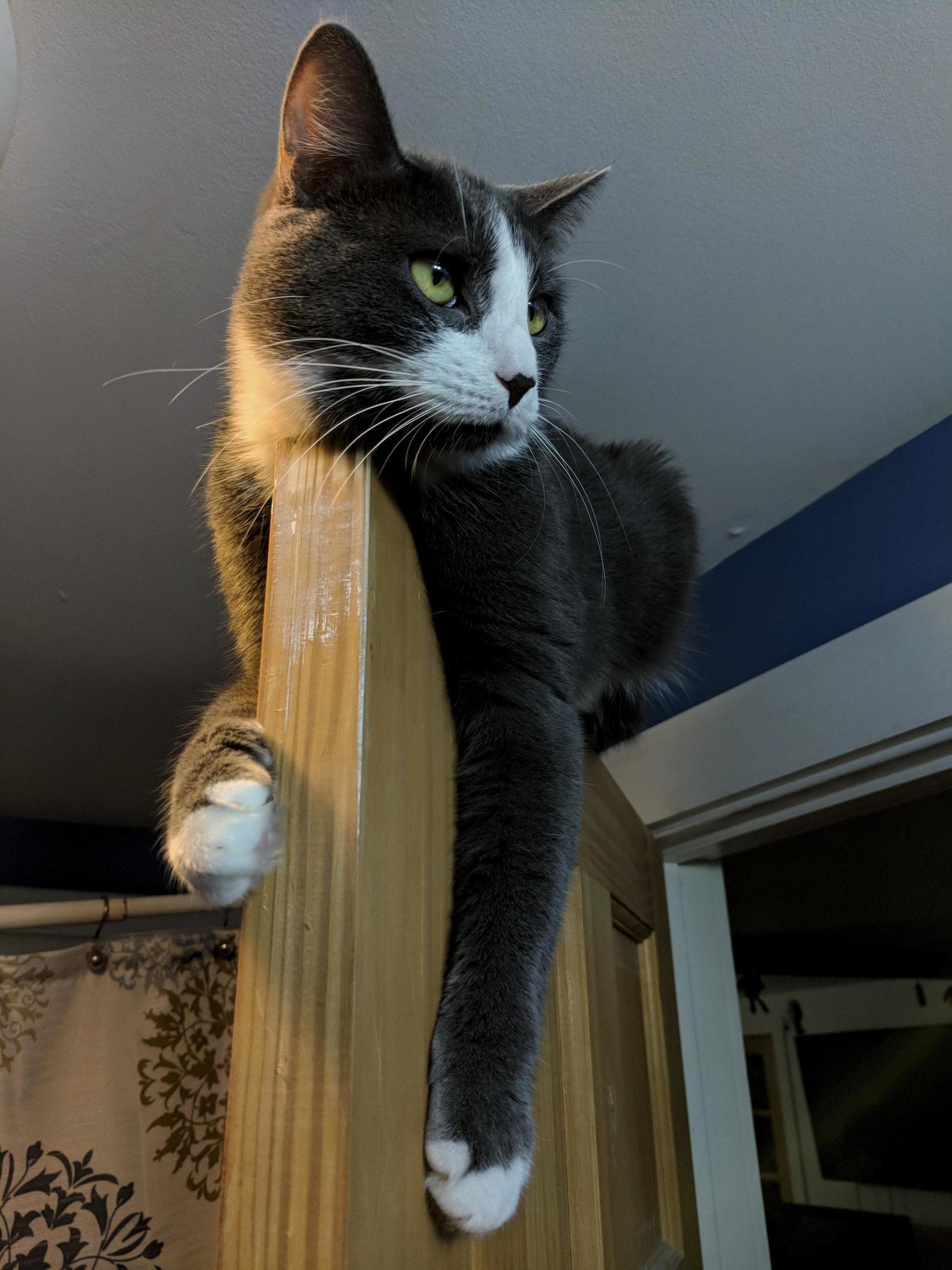 Potato and Her Favorite Doorframe