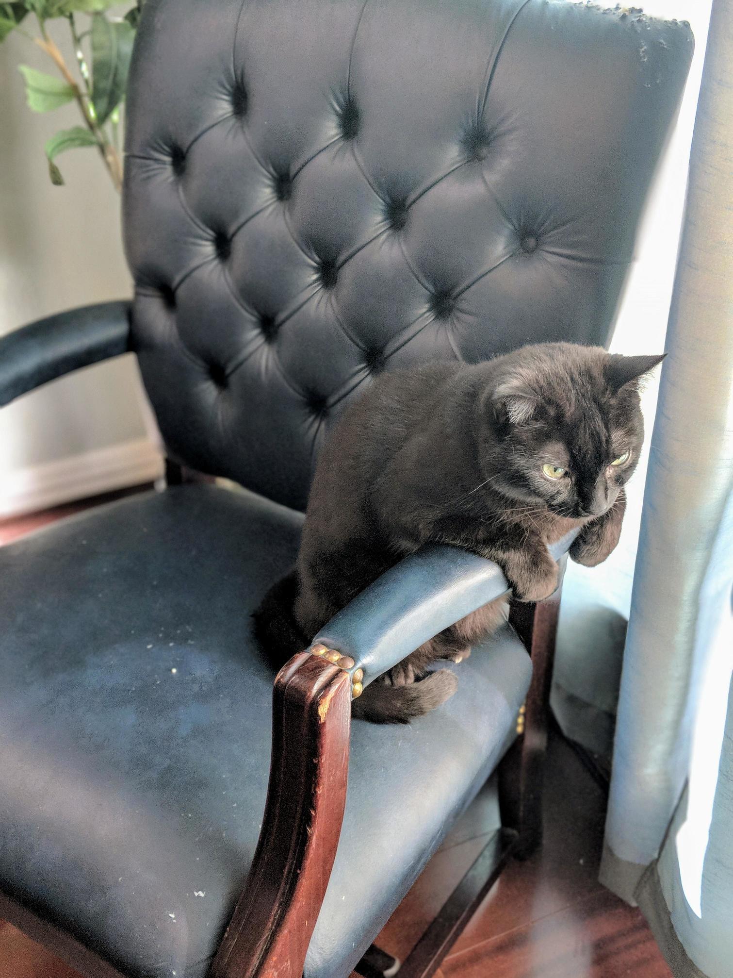 Severus Always Sits on Armchairs This Way