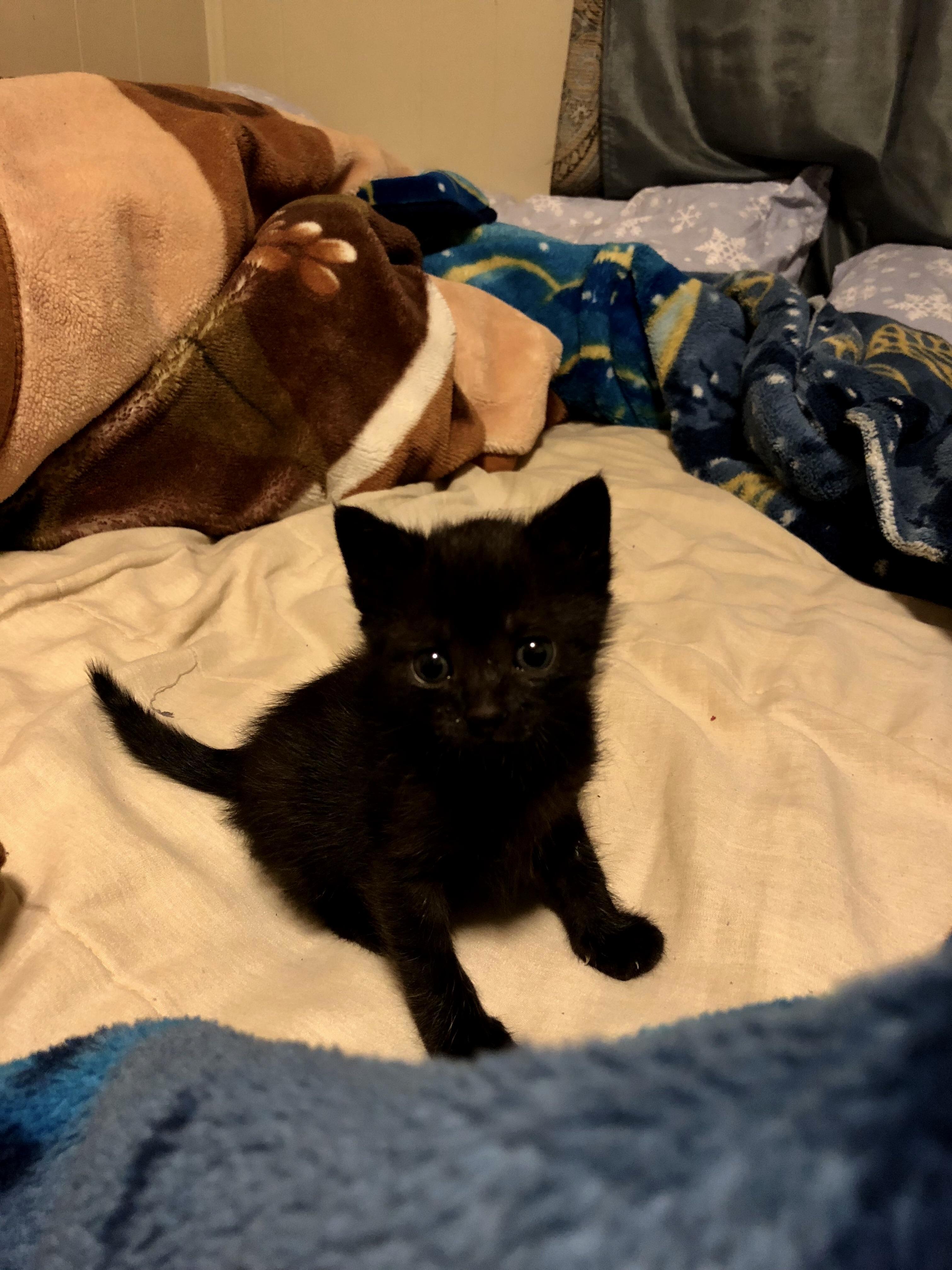 She Always Looks for the Camera