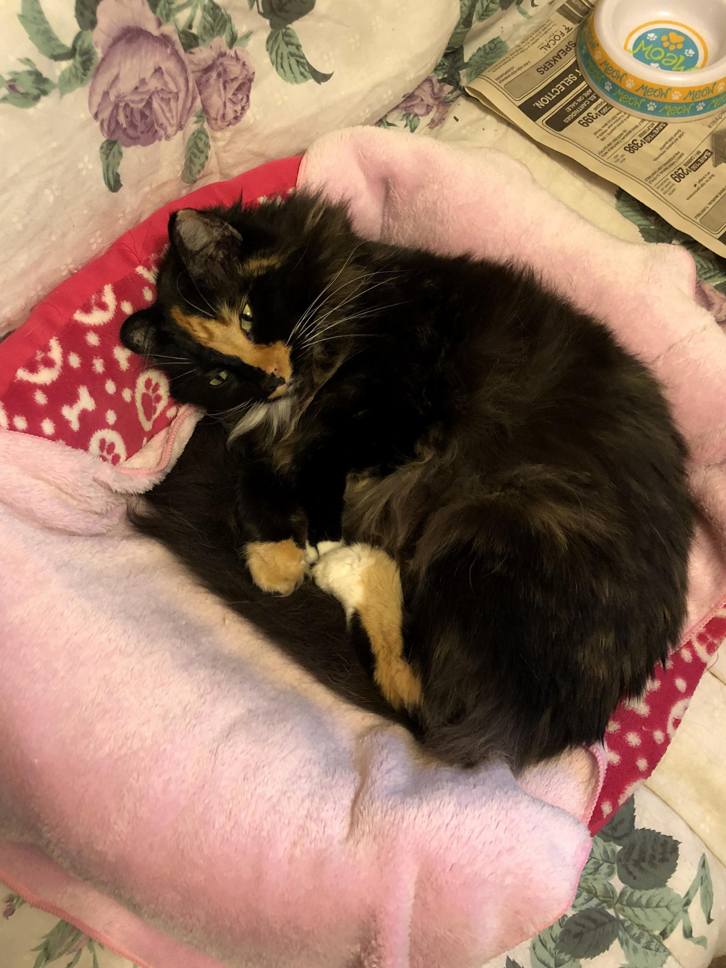 She Looks Comfy