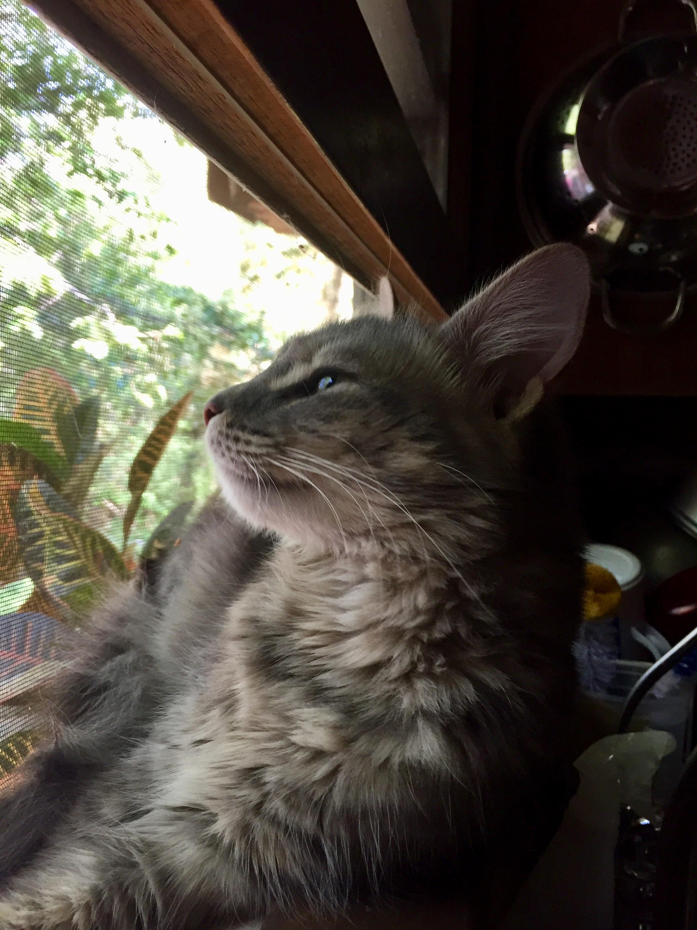 She Loves the Spring Weather.