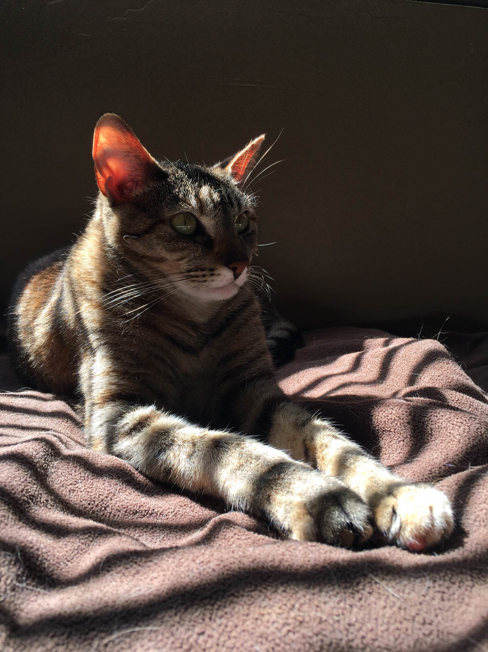 She Owns the Place