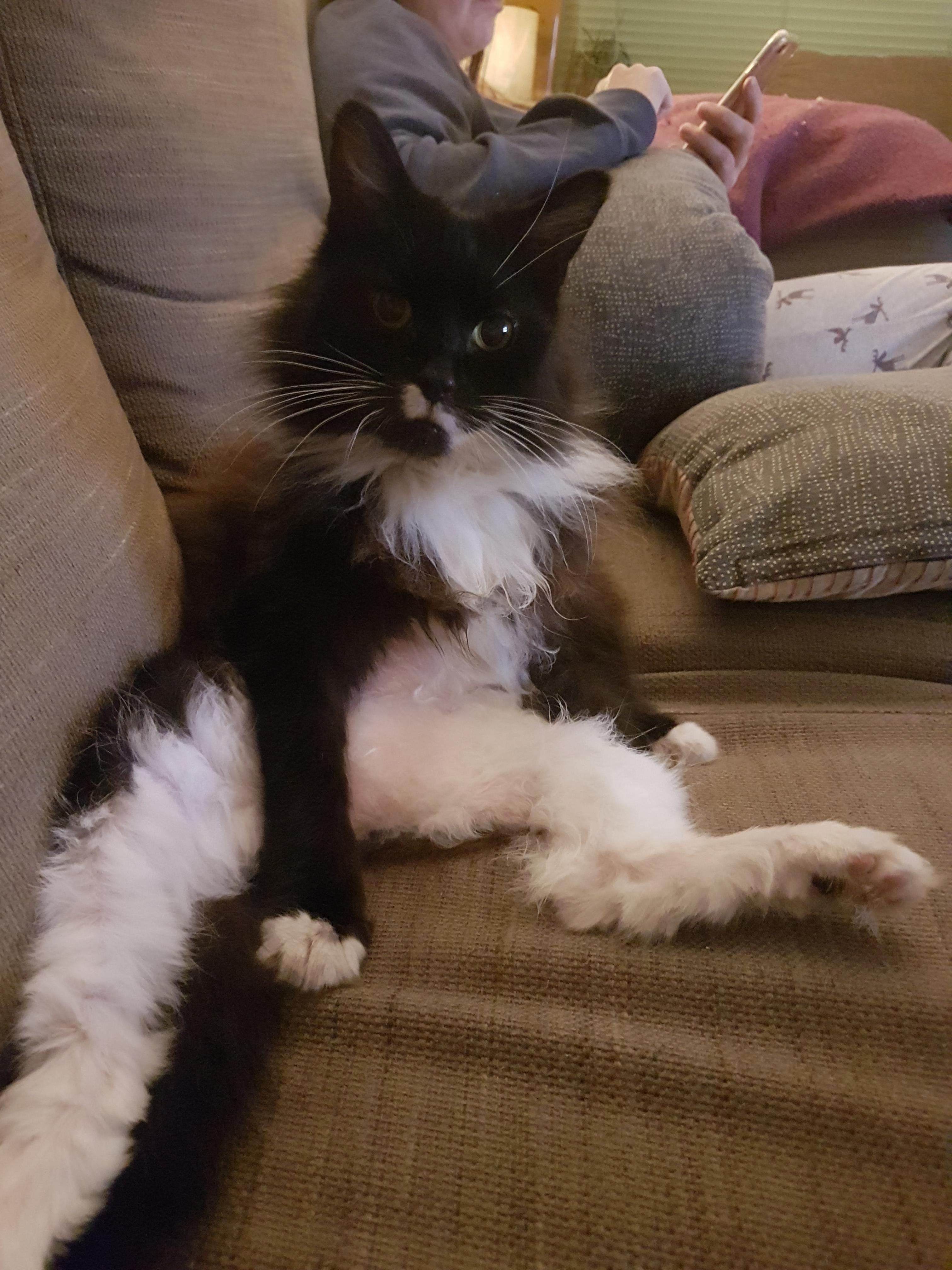 Shes So Lady Like