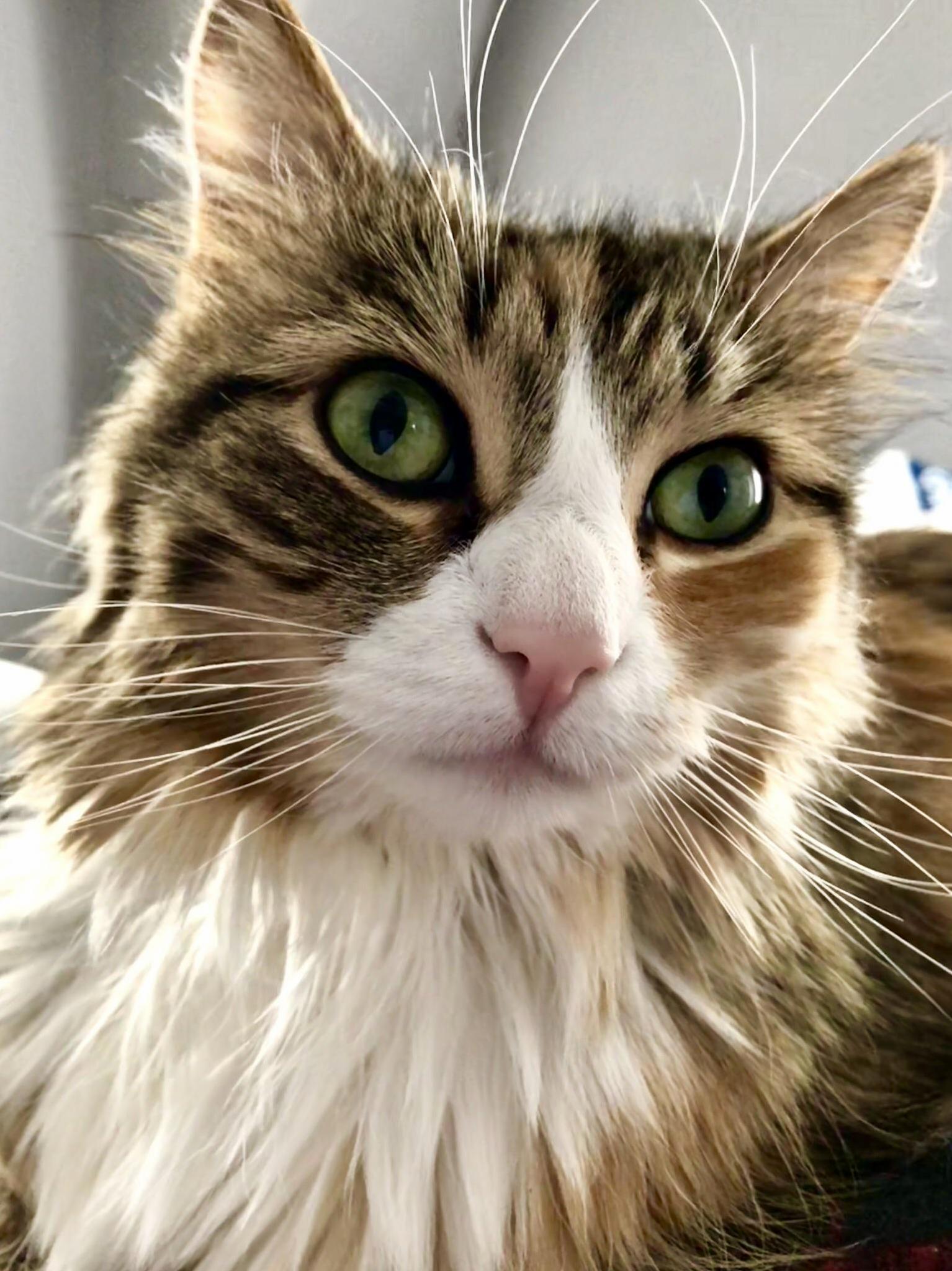 Shes Looking Into Your Soul...and Judging You.