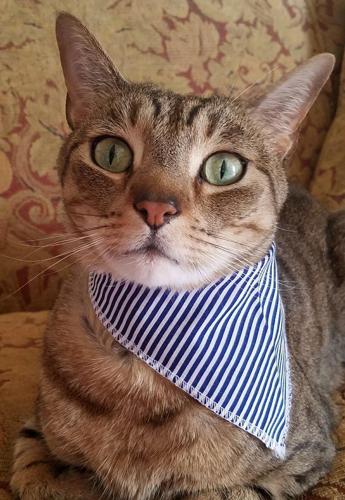 Simon