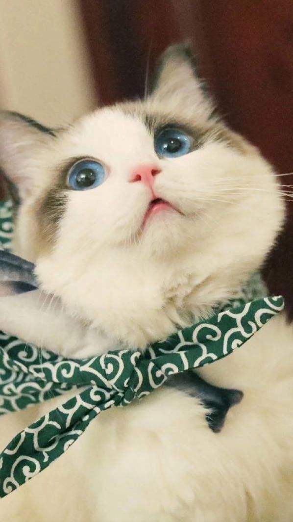 Sky in Her Eyes