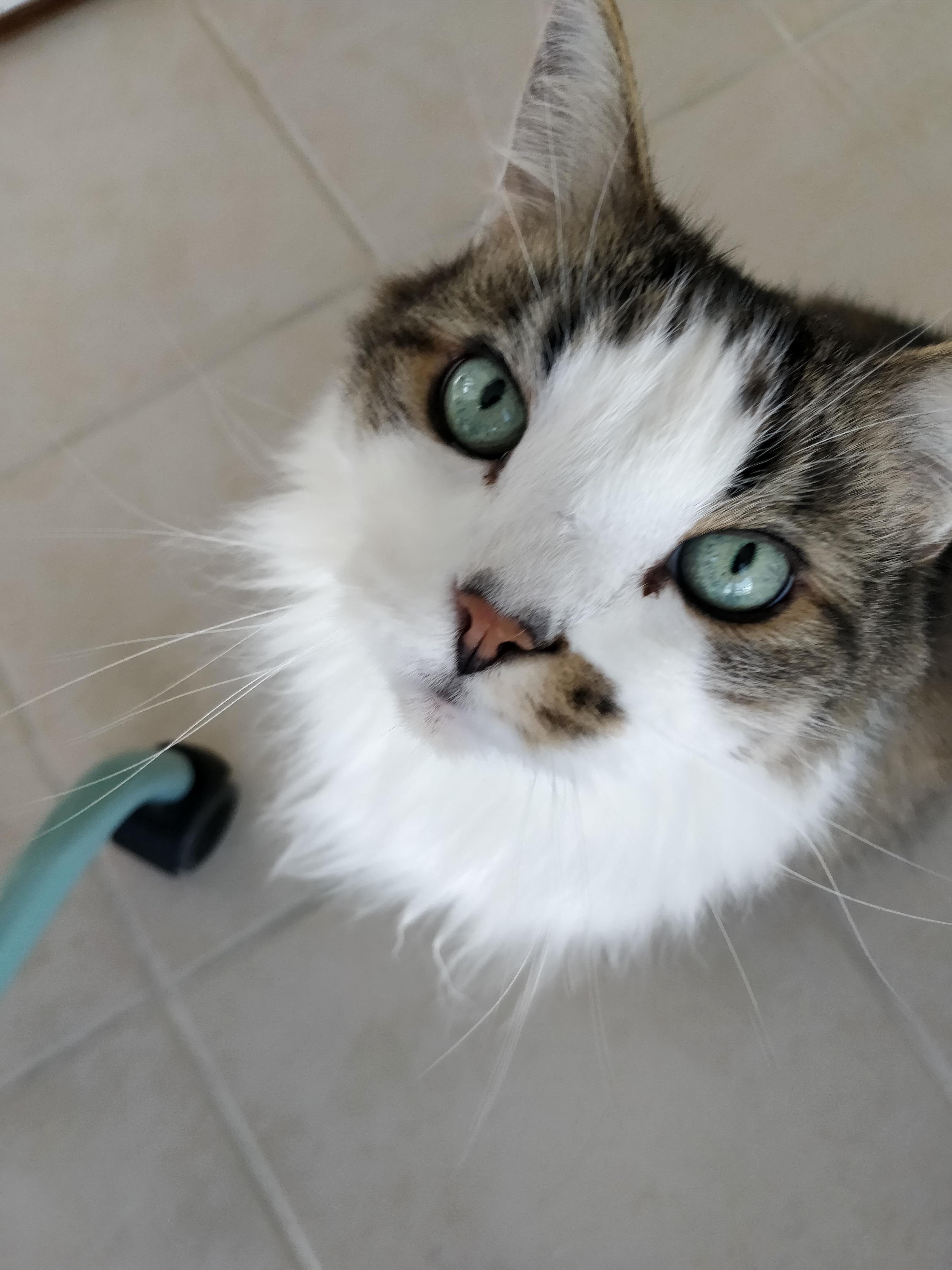 Someone Turned 9 Years Old Today!