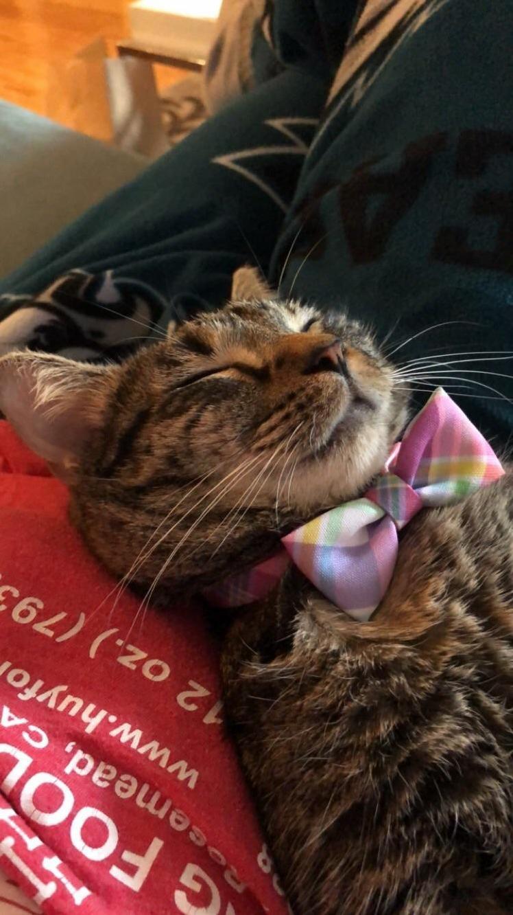 Spring Attire
